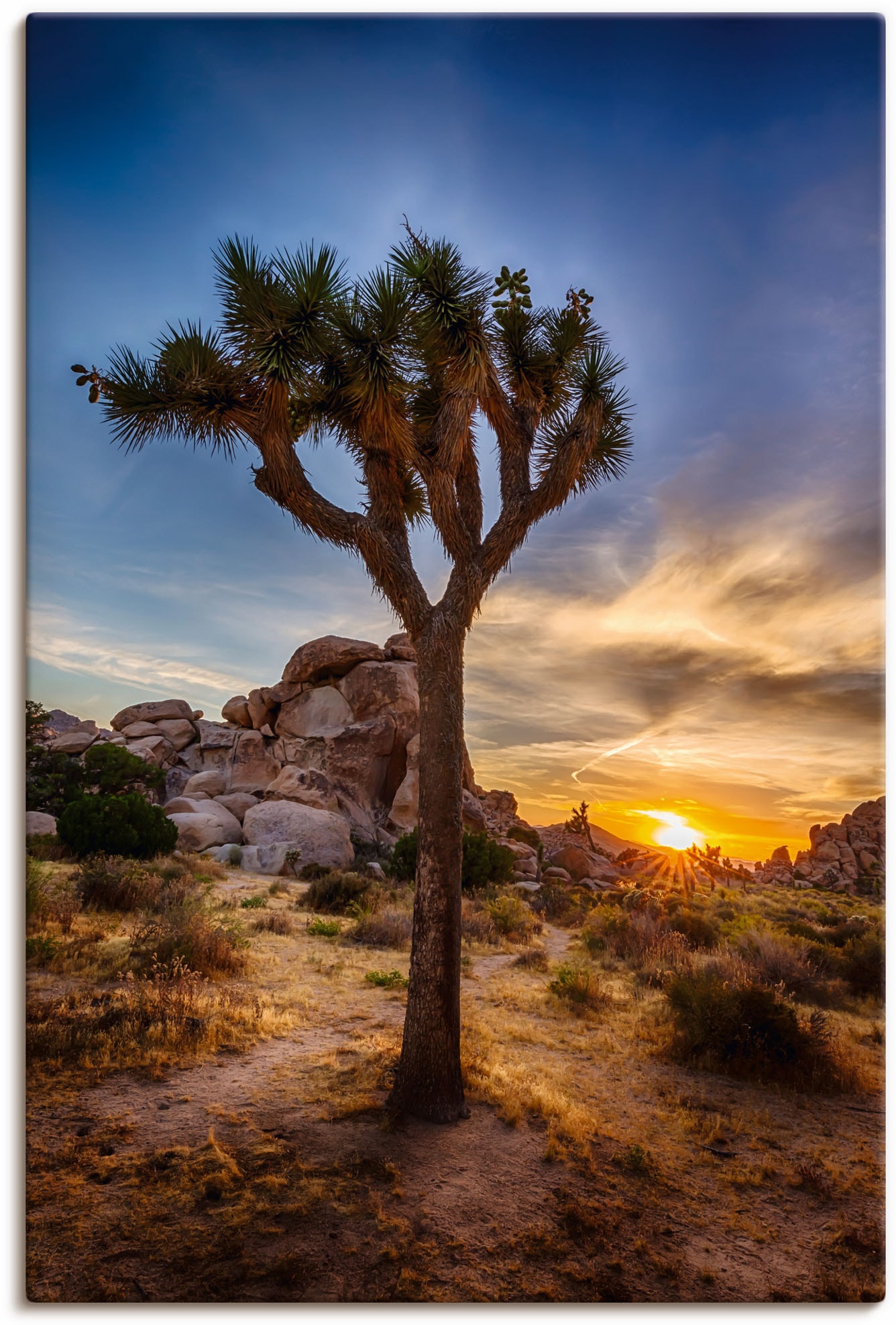 Artland Wandbild »Sonnenuntergang Joshua Tree NationalPark« (1 Stück), in vielen Grössen & Produktarten - Alubild / Outdoorbild für den Aussenbereich, Leinwandbild, Poster, Wandaufkleber / Wandtattoo auch für Badezimmer geeignet von Artland