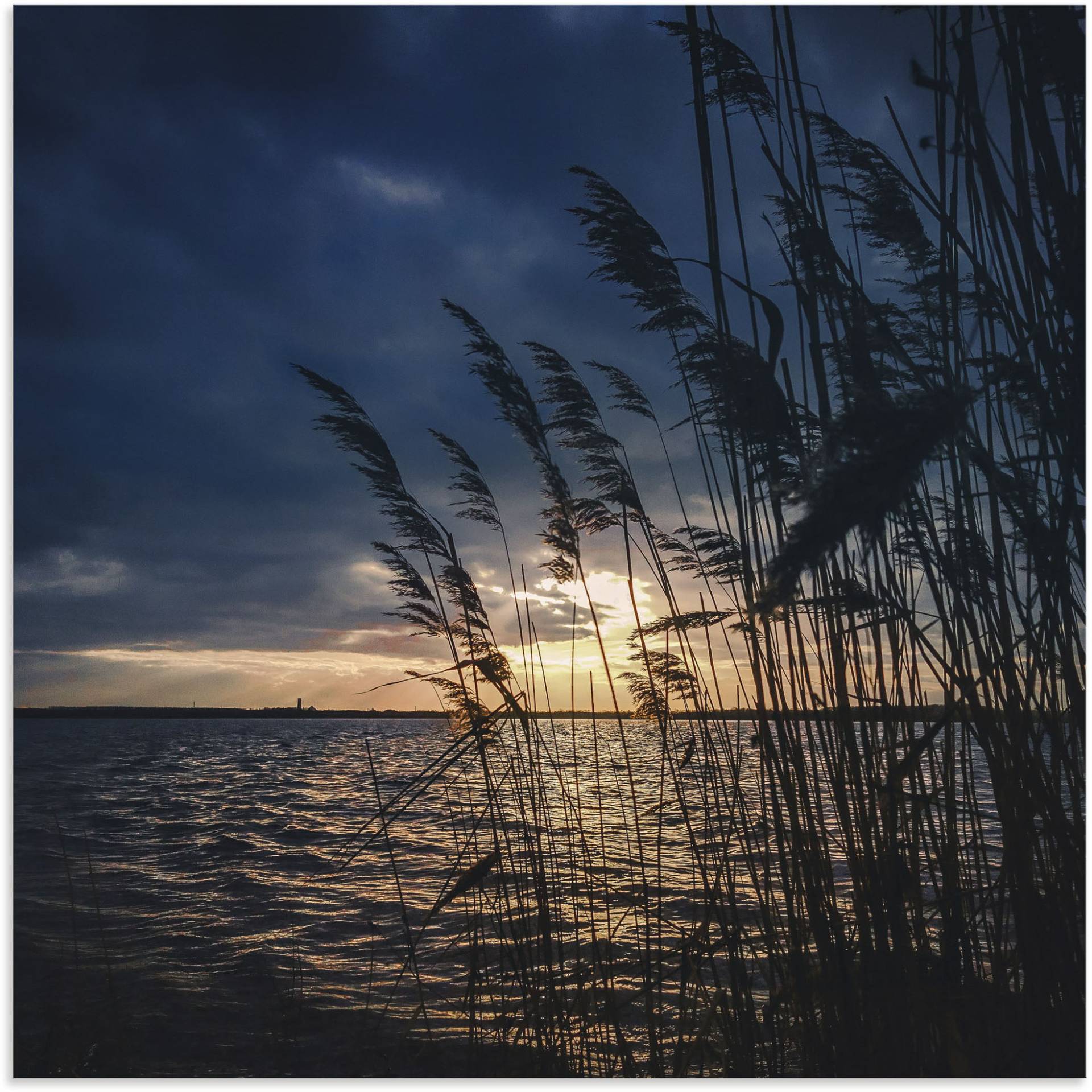 Artland Alu-Dibond-Druck »Sonnenuntergang mit Schilf am See«, Seebilder, (1 St.) von Artland