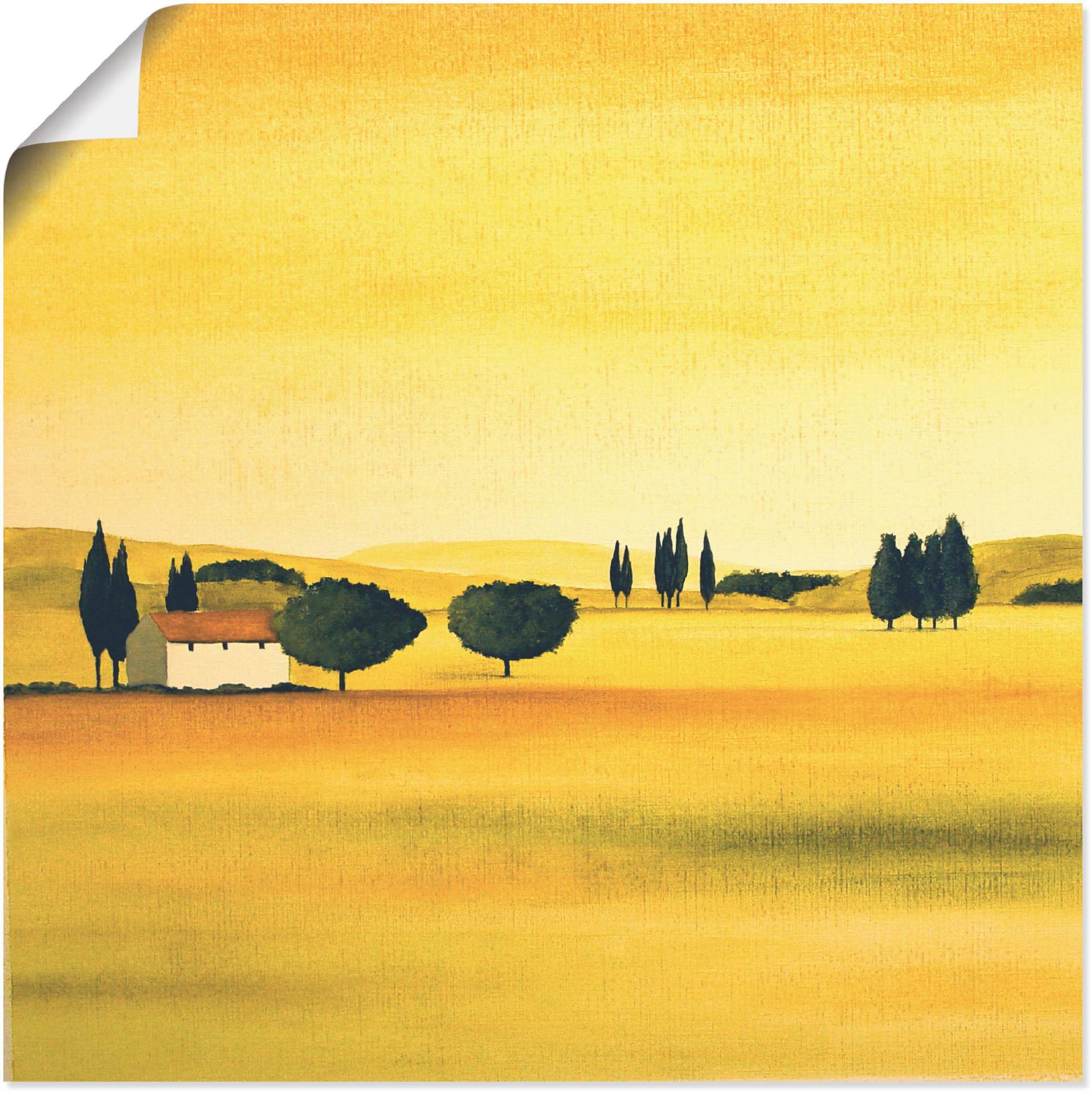 Artland Poster »Sonniger Tag I«, Felder, (1 St.), als Leinwandbild, Wandaufkleber oder Poster in versch. Grössen Artland Poster »Sonniger Tag I«, Felder, (1 St.), als Leinwandbild, Wandaufkleber oder Poster in versch. Grössen von Artland