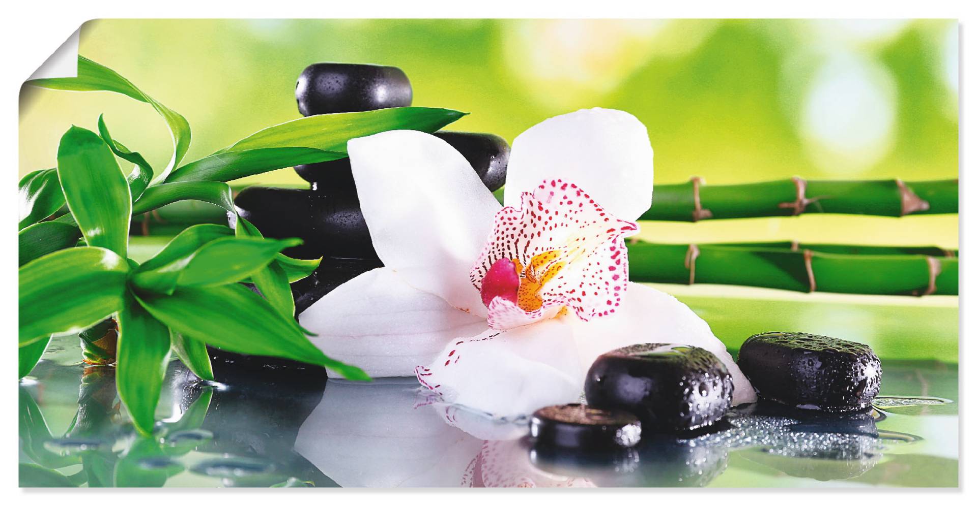 Artland Wandbild »Spa Steine Bambus Zweige Orchidee«, Zen, (1 St.) von Artland