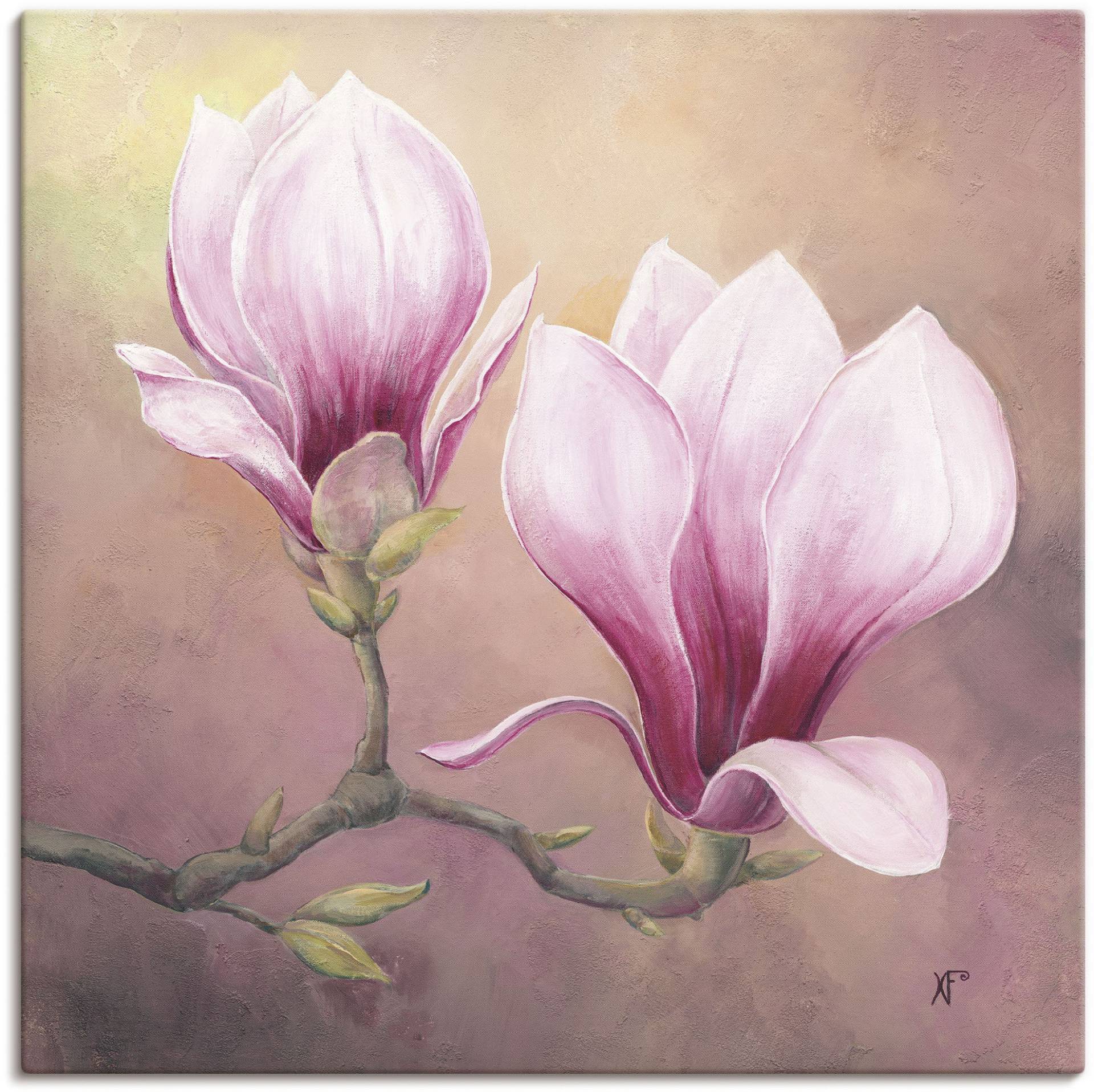Artland Wandbild »Späte Magnolie«, Blumenbilder, (1 St.) von Artland