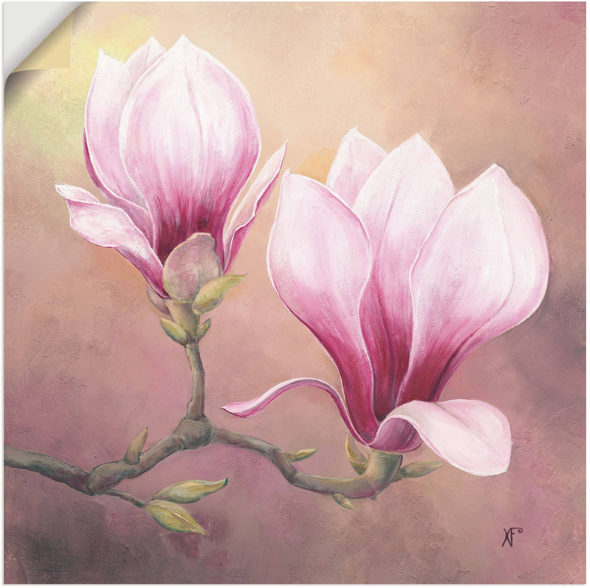 Artland Wandbild »Späte Magnolie«, Blumenbilder, (1 St.) von Artland