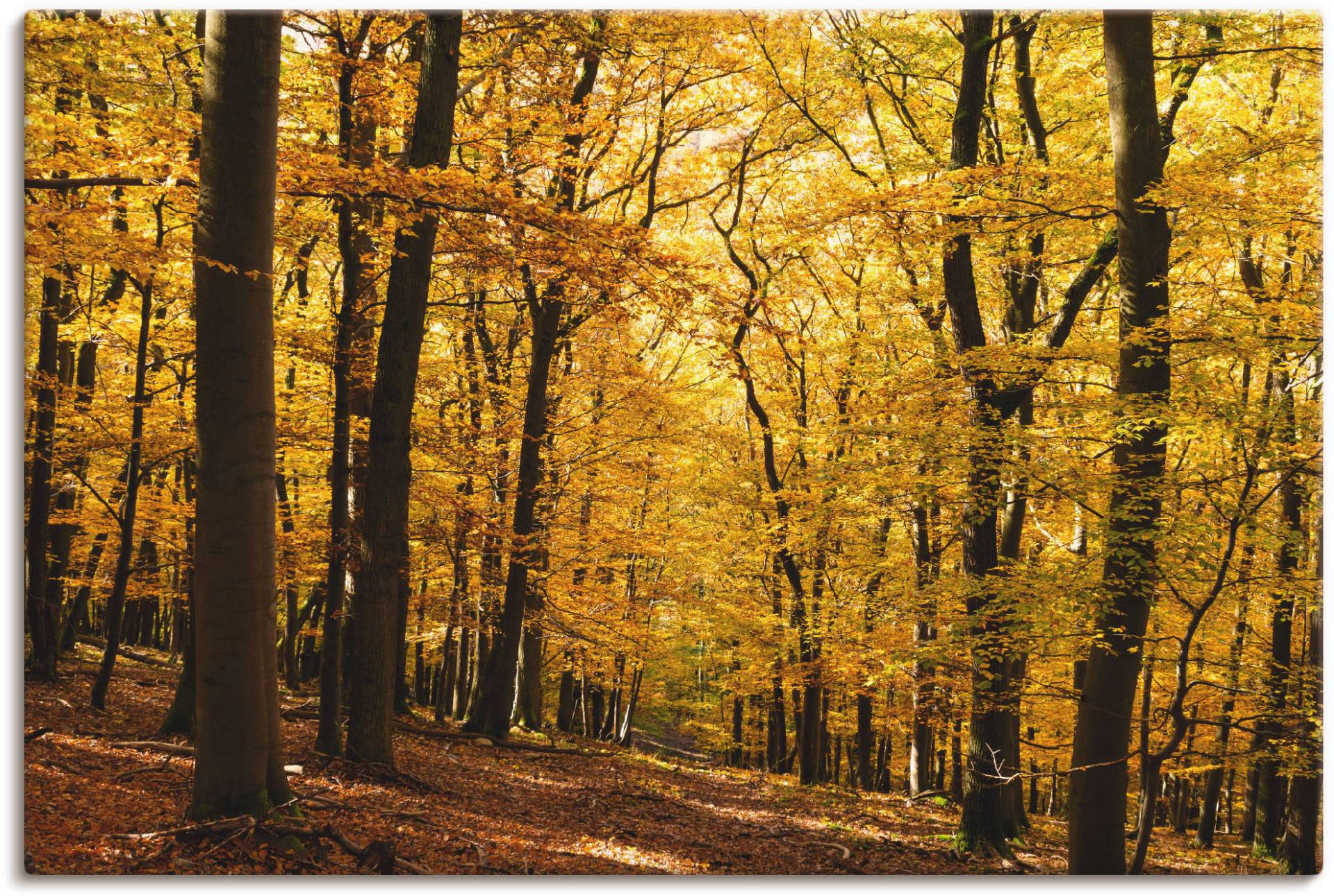 Artland Wandbild »Spaziergang im Herbstwald«, Wald, (1 St.) von Artland