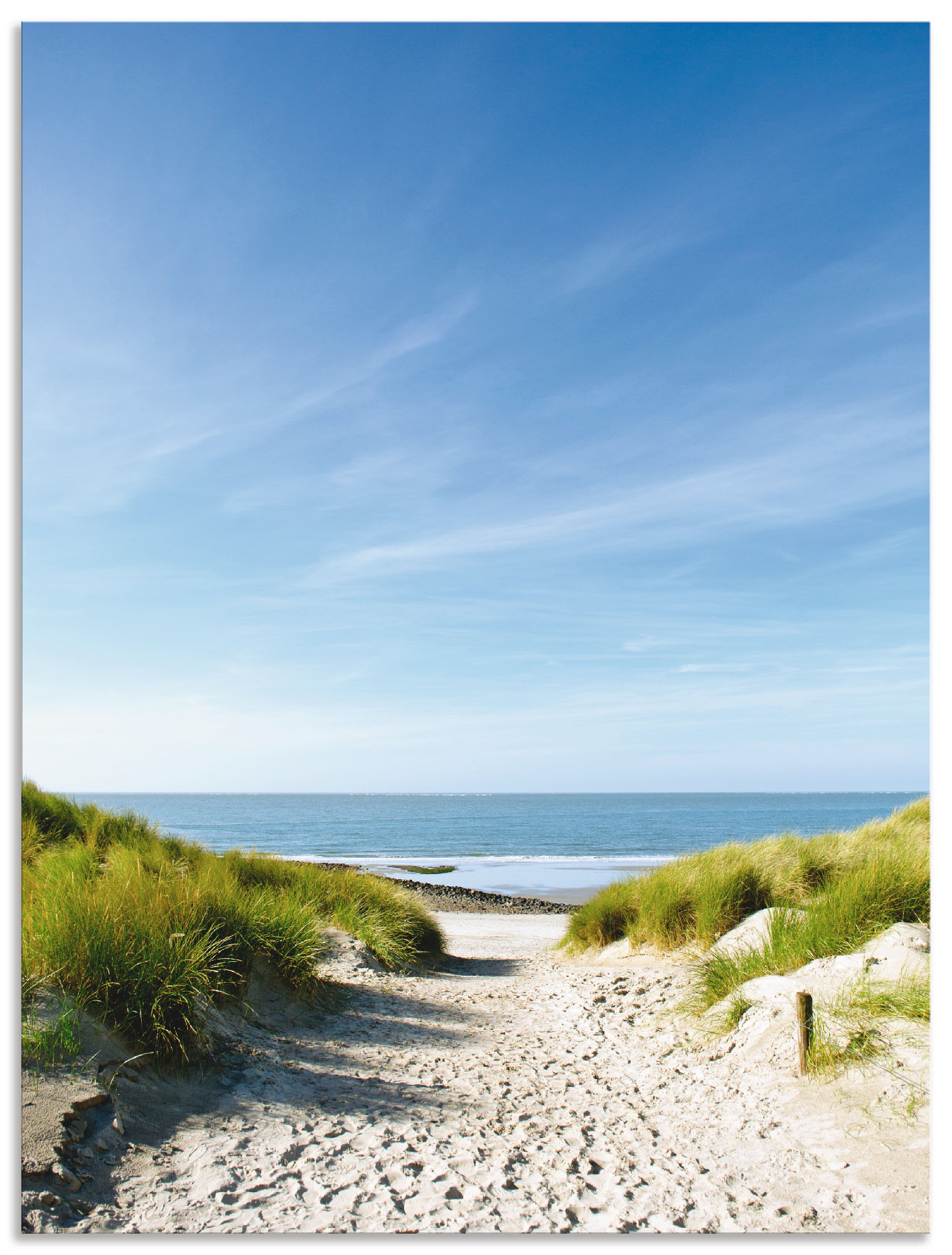 Artland Wandbild »Strand mit Sanddünen und Weg zur See«, Strand, (1 St.), als Alubild, Outdoorbild, Leinwandbild, Poster, Wandaufkleber Artland Wandbild »Strand mit Sanddünen und Weg zur See«, Strand, (1 St.), als Alubild, Outdoorbild, Leinwandbild, Poster, Wandaufkleber von Artland
