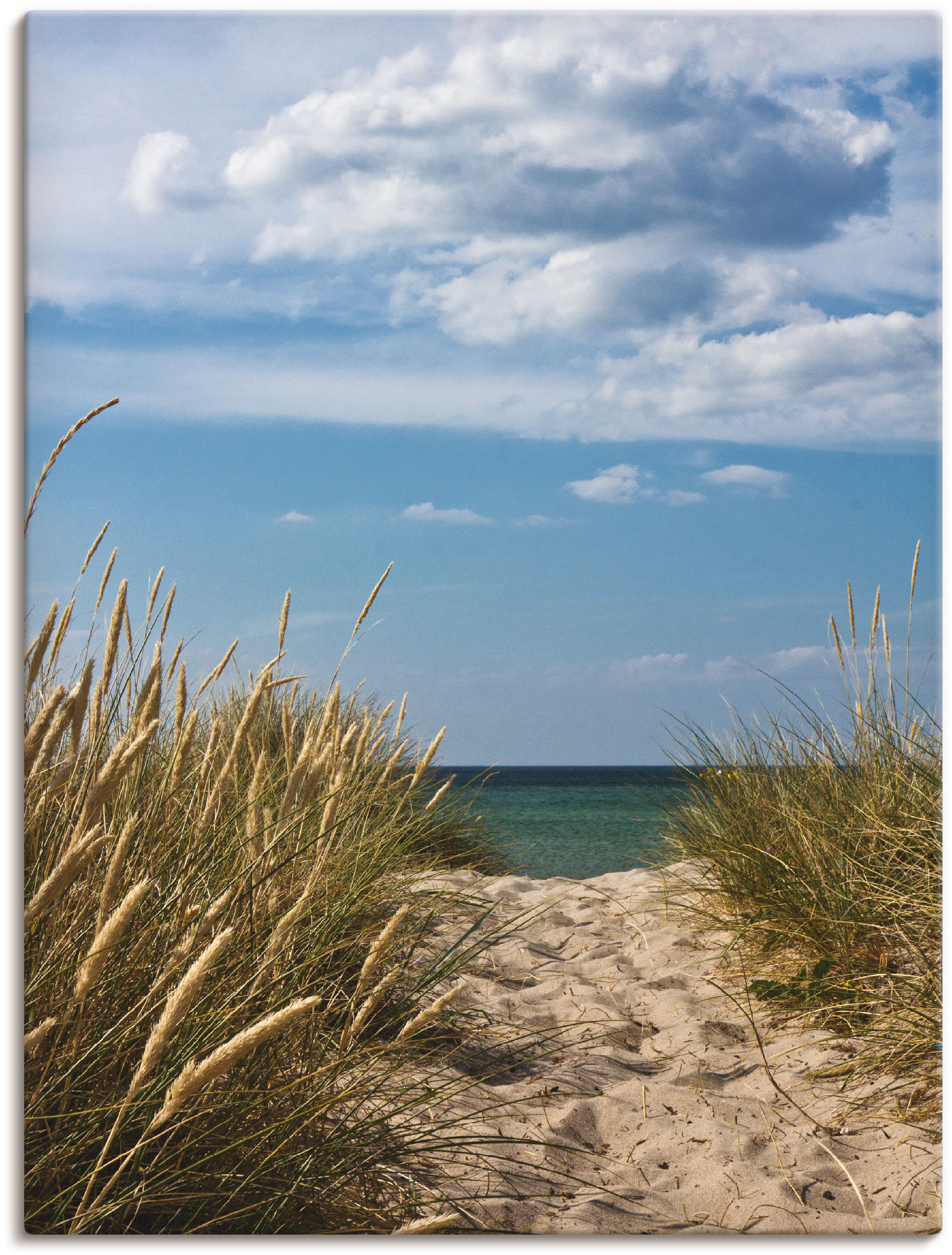 Artland Wandbild »Strandzugang an der Ostsee - Dänemark 9«, Strand, (1 St.), als Alubild, Outdoorbild in verschied. Grössen von Artland