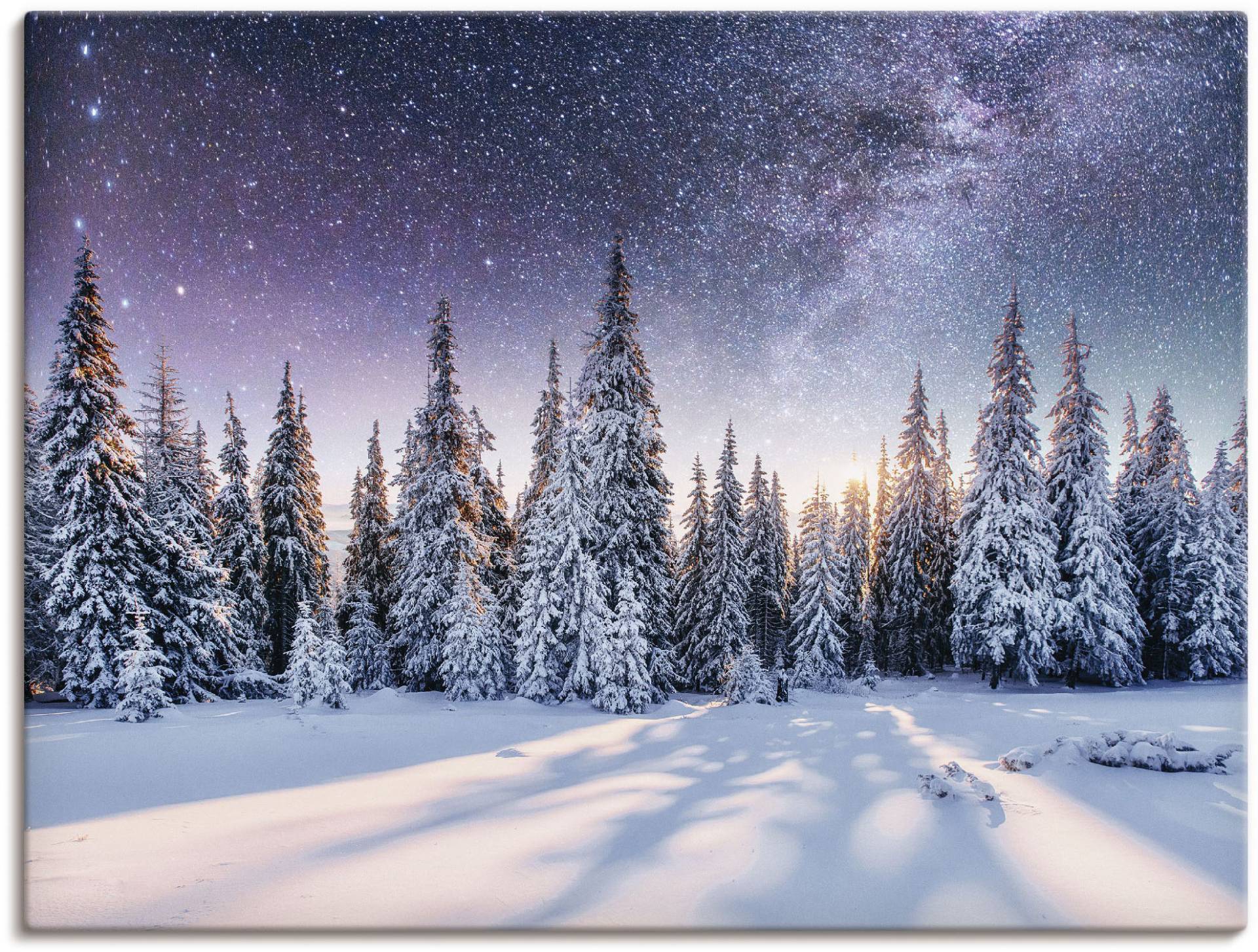 Artland Wandbild »Tannenwald im Schnee vorm Sternenhimmel«, Berge & Alpenbilder, (1 St.), als Alubild, Outdoorbild, Leinwandbild, Poster in verschied. Grössen von Artland