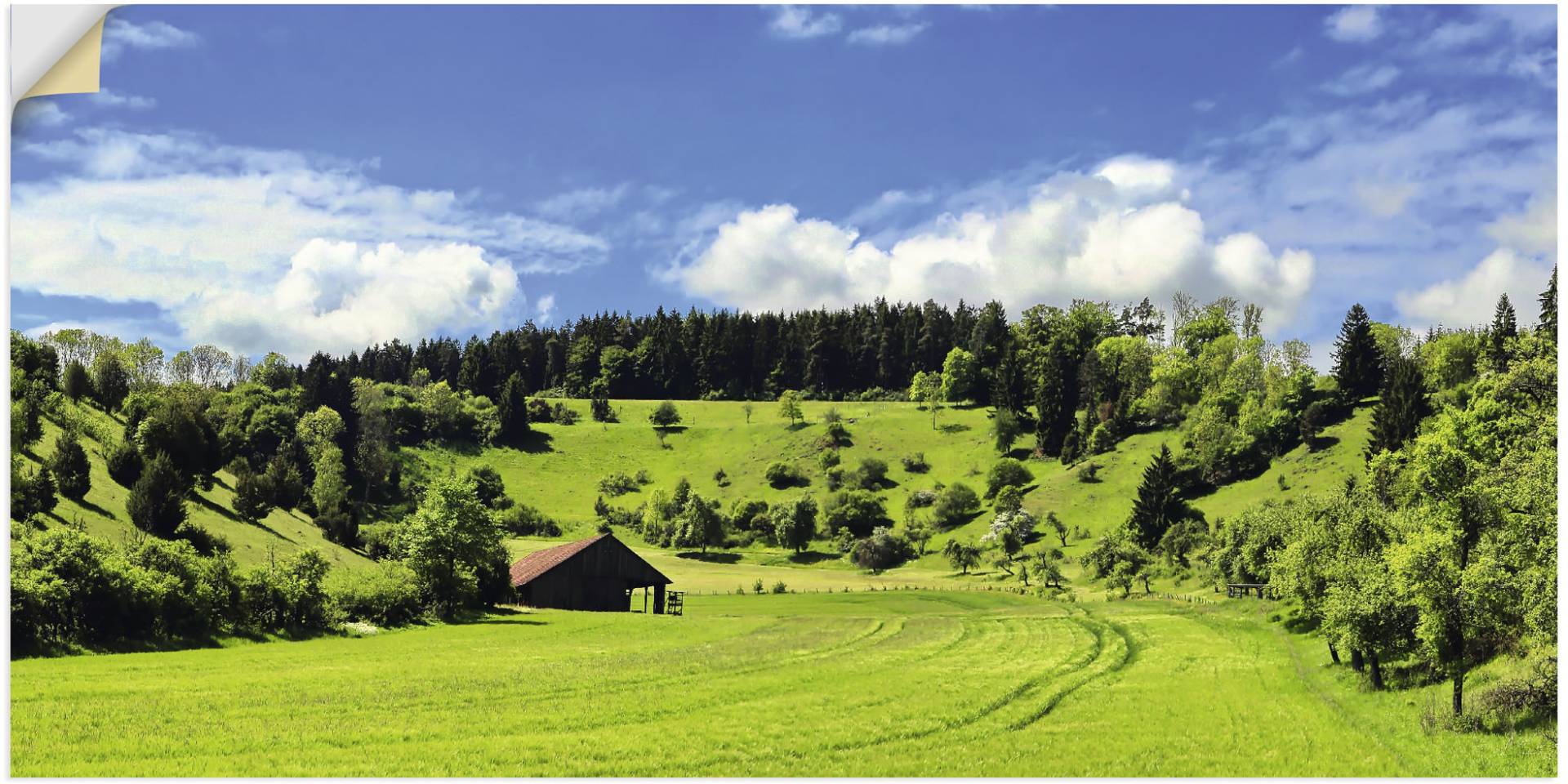 Artland Wandbild »Traumhafte Landschaft im Schwarzwald«, Wiesen & Baumbilder, (1 St.), als Alubild, Outdoorbild, Leinwandbild, Wandaufkleber, versch. Grössen von Artland