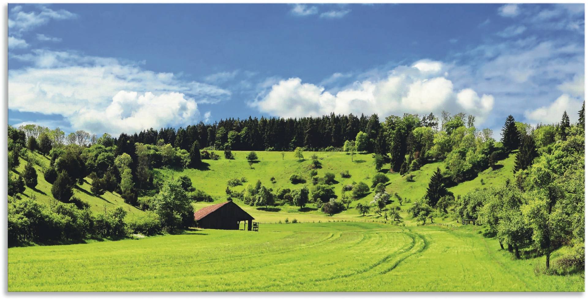 Artland Wandbild »Traumhafte Landschaft im Schwarzwald«, Wiesen & Baumbilder, (1 St.), als Alubild, Outdoorbild, Leinwandbild, Wandaufkleber, versch. Grössen von Artland