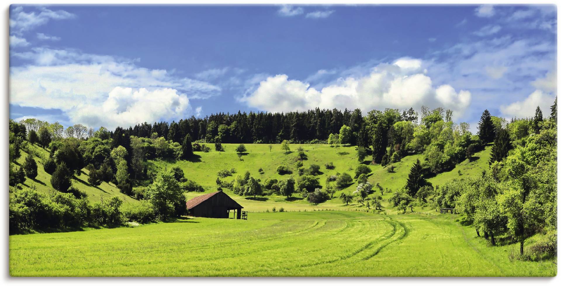 Artland Wandbild »Traumhafte Landschaft im Schwarzwald«, Wiesen & Baumbilder, (1 St.) von Artland