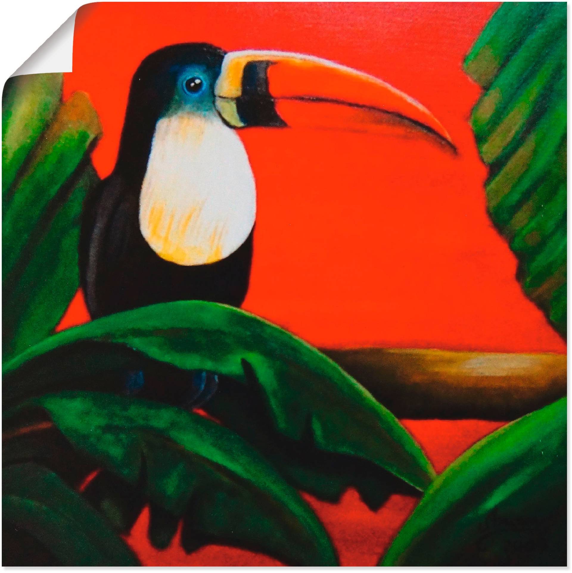 Artland Wandbild »Tukan«, Vögel, (1 St.) von Artland