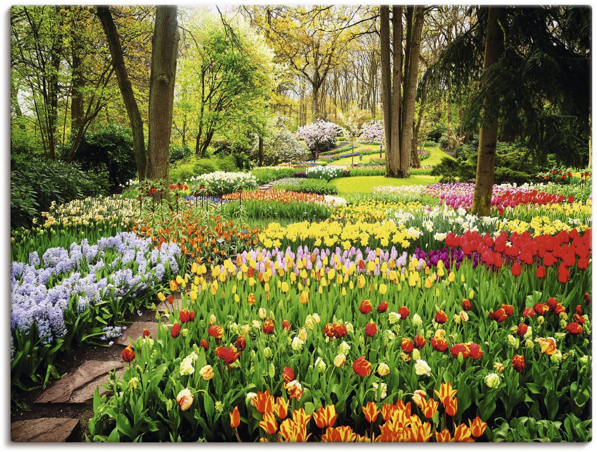 Artland Wandbild »Tulpen Garten Frühling«, Blumenwiese, (1 St.), als Alubild, Outdoorbild, Leinwandbild, Poster, Wandaufkleber von Artland