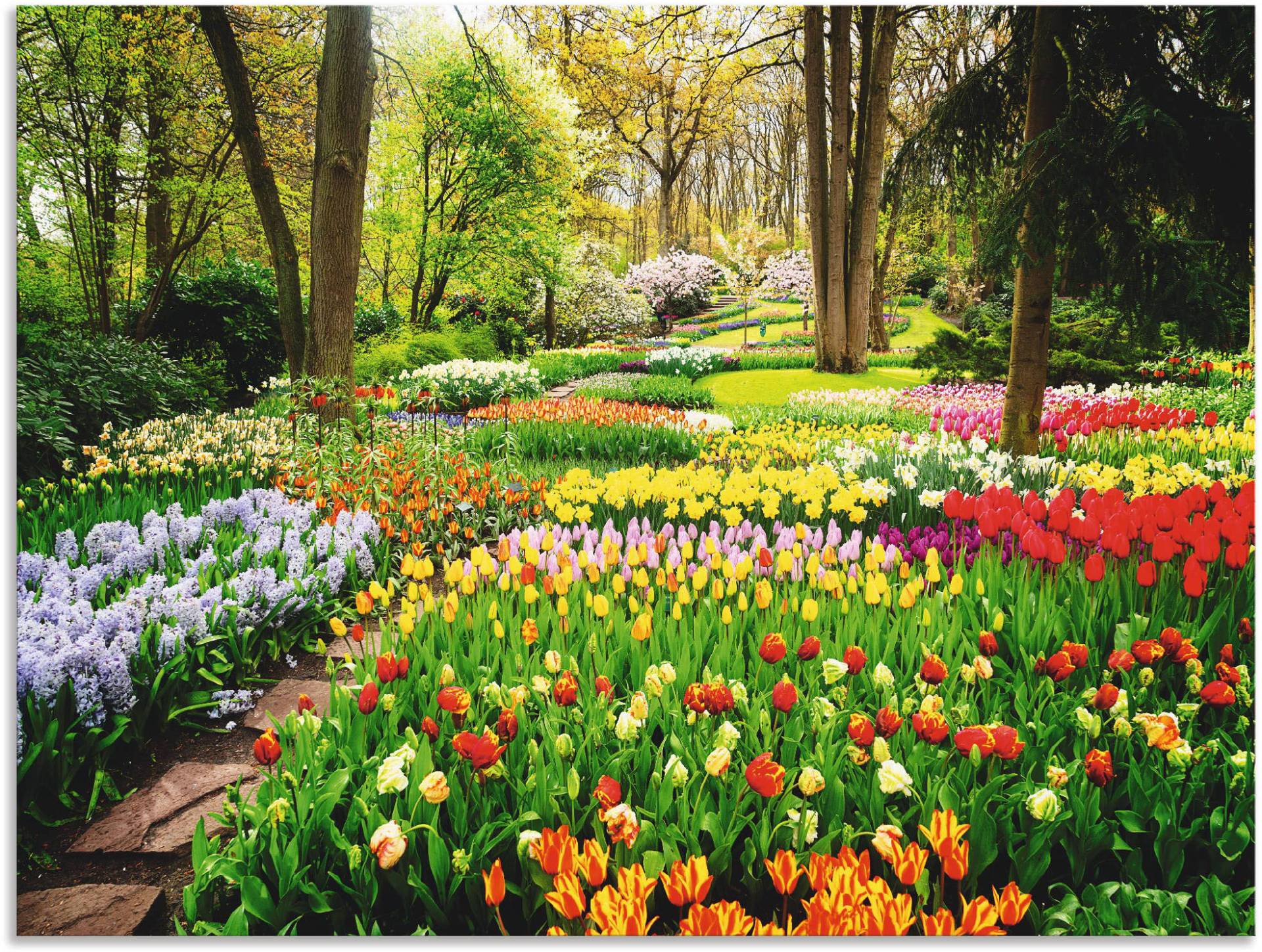 Artland Wandbild »Tulpen Garten Frühling«, Blumenwiese, (1 St.), als Alubild, Outdoorbild, Leinwandbild, Poster, Wandaufkleber von Artland
