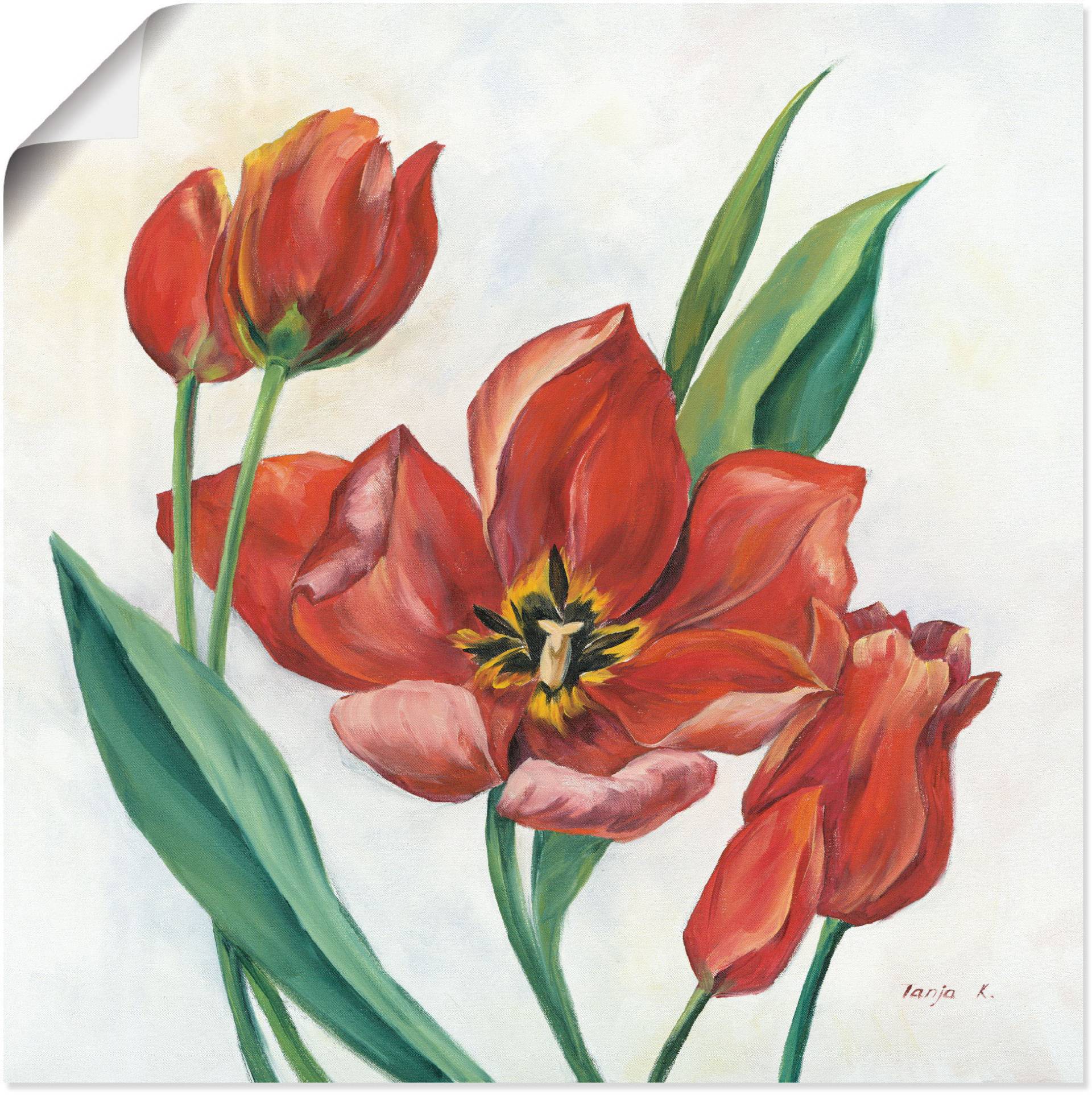 Artland Wandbild »Tulpen I«, Blumenbilder, (1 St.), als Leinwandbild, Poster in verschied. Grössen von Artland