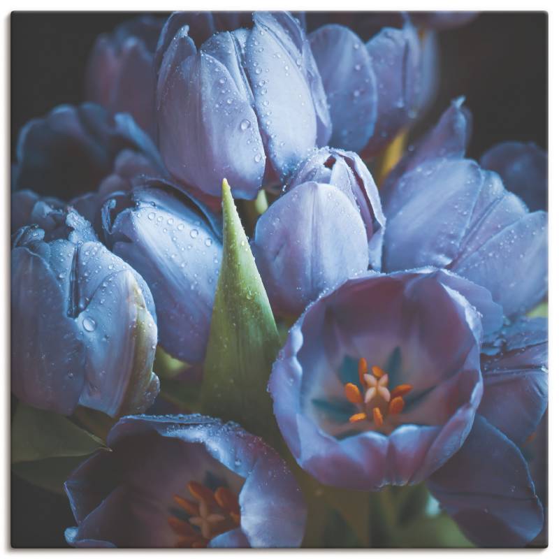 Artland Leinwandbild »Tulpen Blau«, Blumen, (1 St.) von Artland