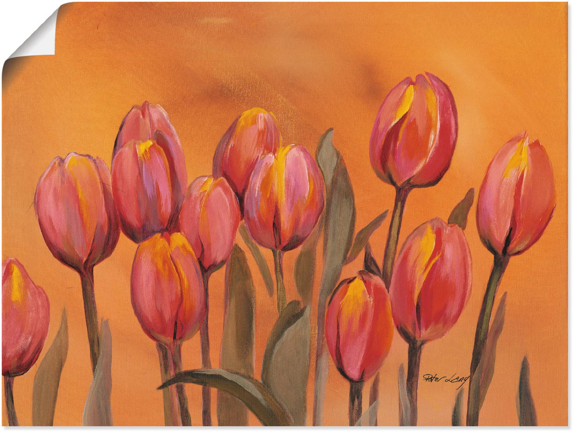 Artland Poster »Tulpen«, Blumen, (1 St.), als Alubild, Leinwandbild, Wandaufkleber oder Poster in versch. Grössen Artland Poster »Tulpen«, Blumen, (1 St.), als Alubild, Leinwandbild, Wandaufkleber oder Poster in versch. Grössen von Artland