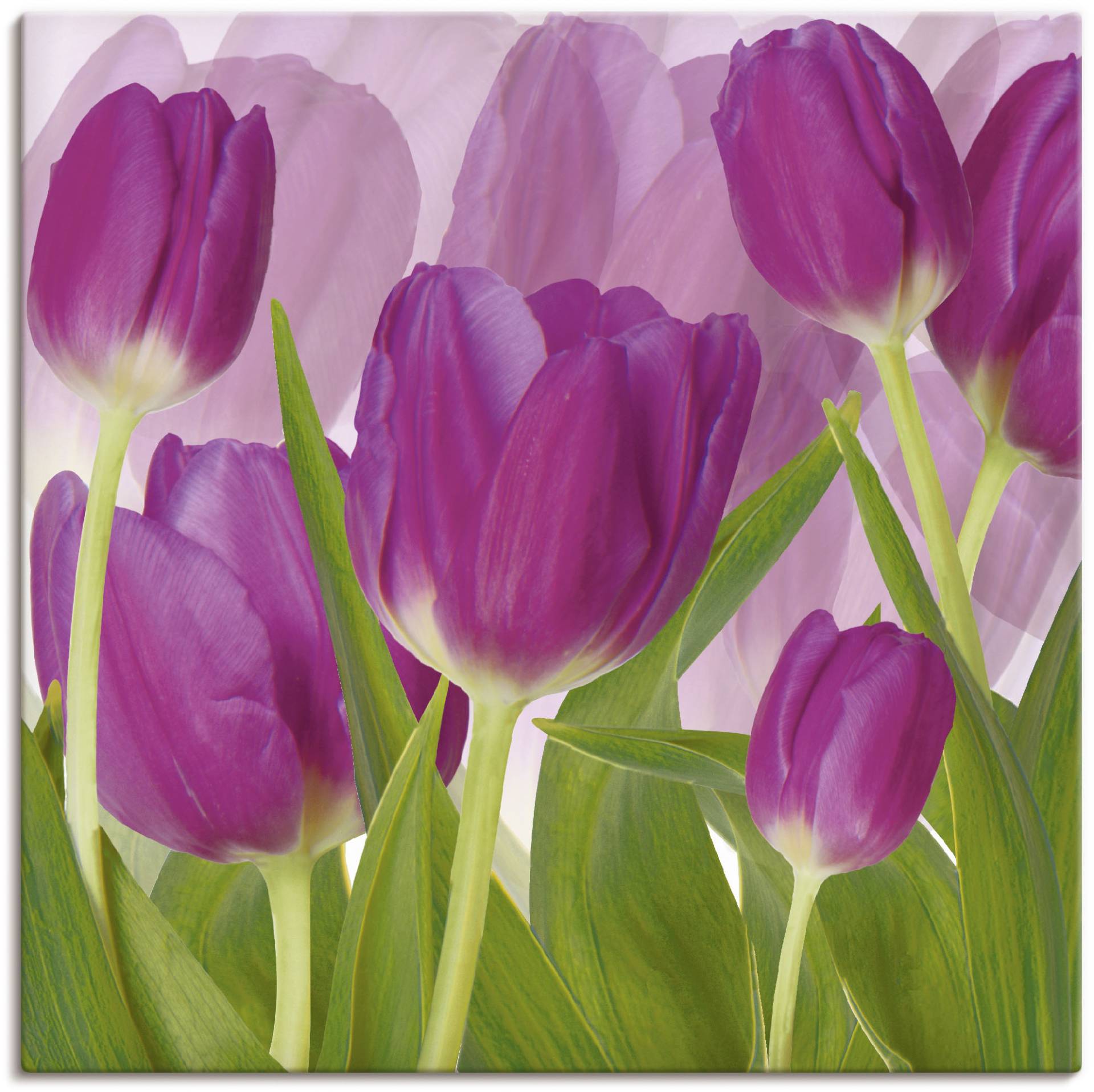 Artland Wandbild »Tulpenfeld lila«, Blumen, (1 St.) von Artland