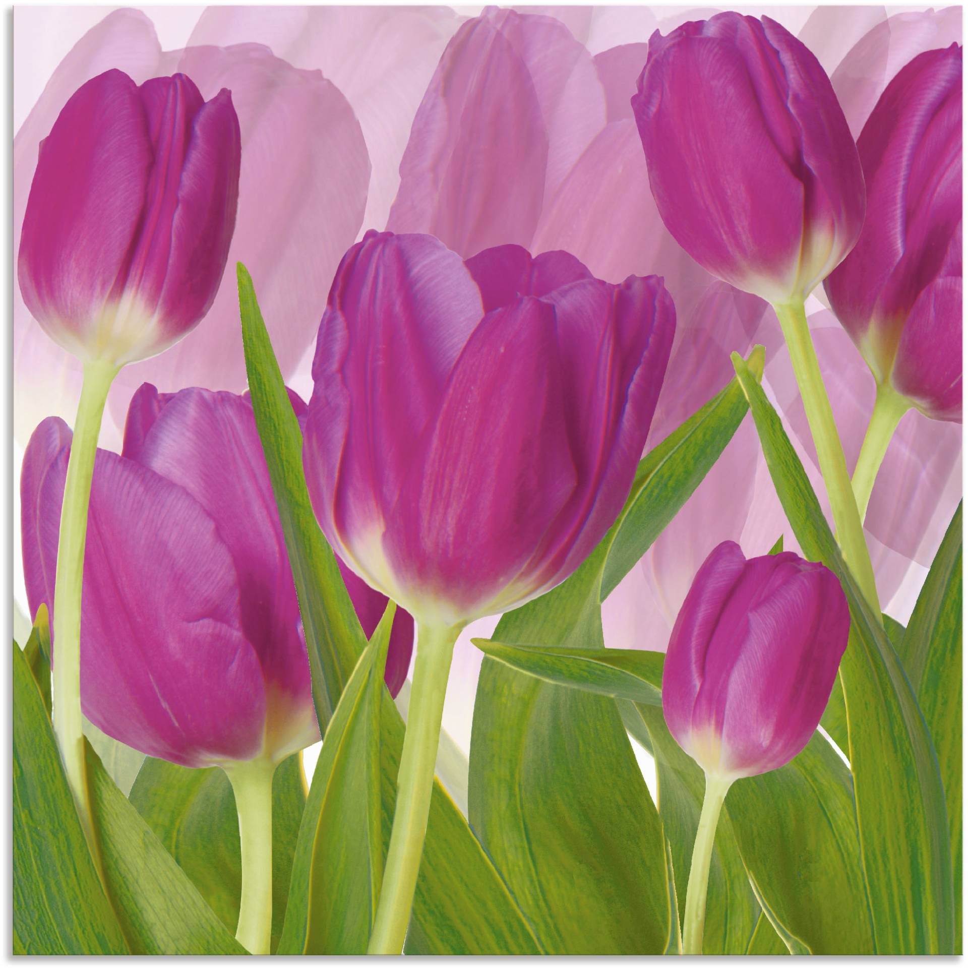 Artland Wandbild »Tulpenfeld lila«, Blumen, (1 St.) von Artland