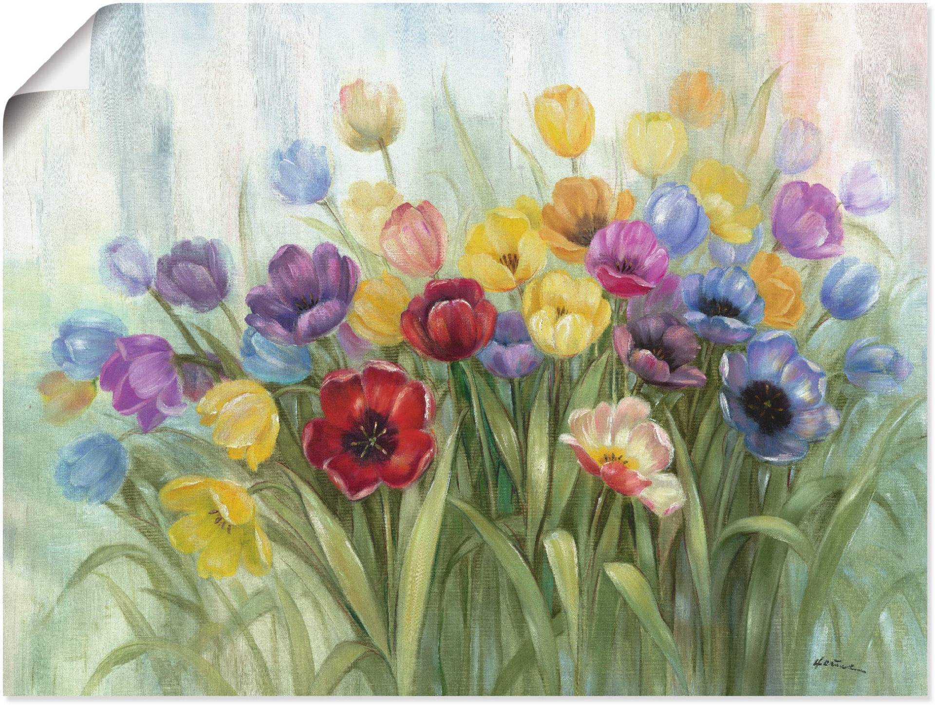 Artland Wandbild »Tulpenwiese I«, Blumenwiese, (1 St.), als Leinwandbild, Poster in verschied. Grössen Artland Wandbild »Tulpenwiese I«, Blumenwiese, (1 St.), als Leinwandbild, Poster in verschied. Grössen von Artland