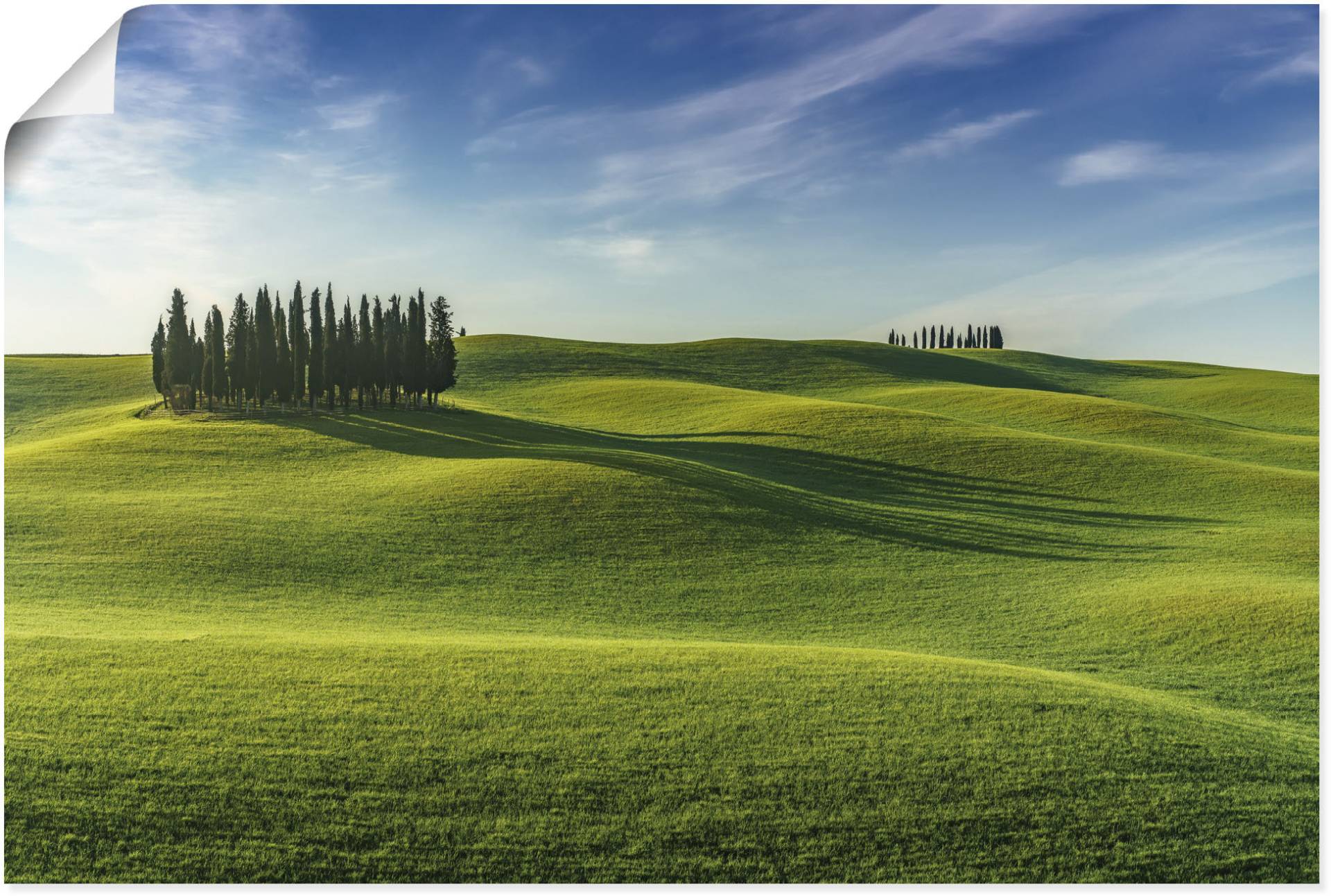 Artland Poster »Val d'Orcia Toskana Italien«, Wiesen & Baumbilder, (1 St.) von Artland