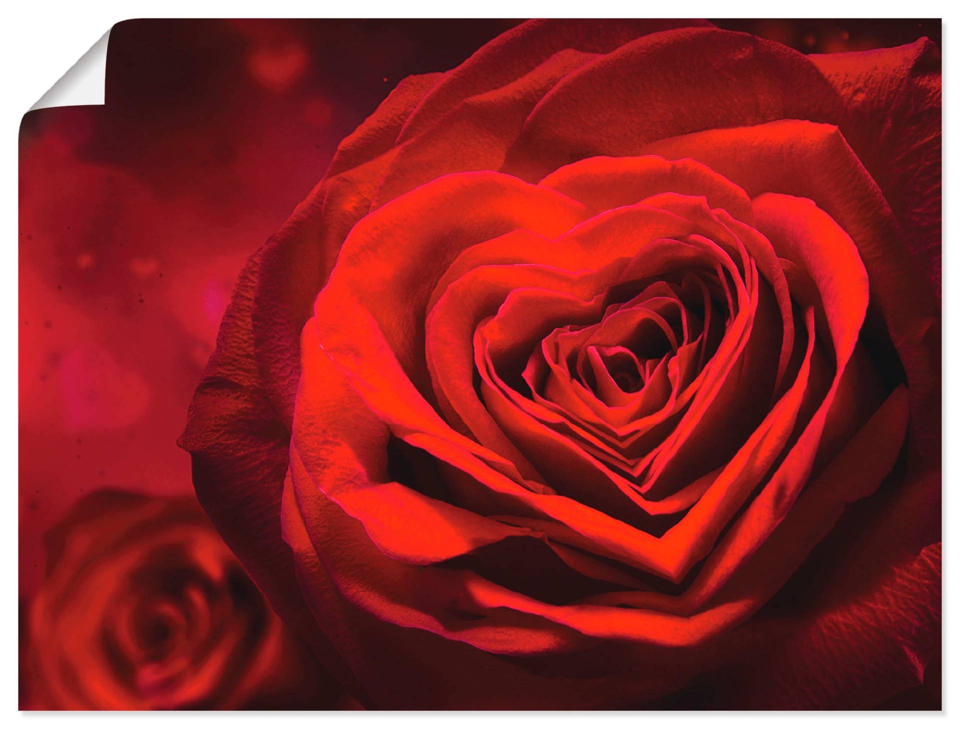 Artland Wandbild »Valentinseinladung mit Herzen und Rosen«, Blumen, (1 St.) von Artland