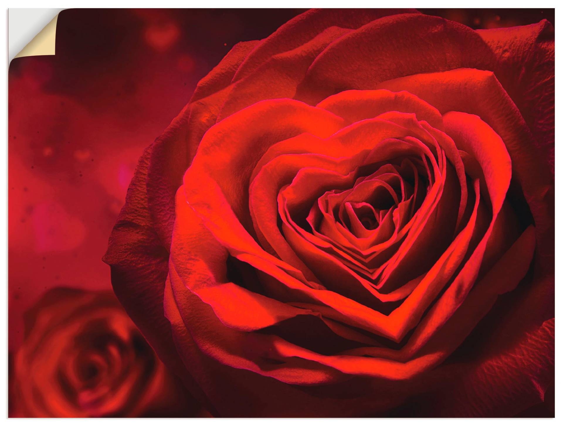 Artland Wandbild »Valentinseinladung mit Herzen und Rosen«, Blumen, (1 St.) von Artland