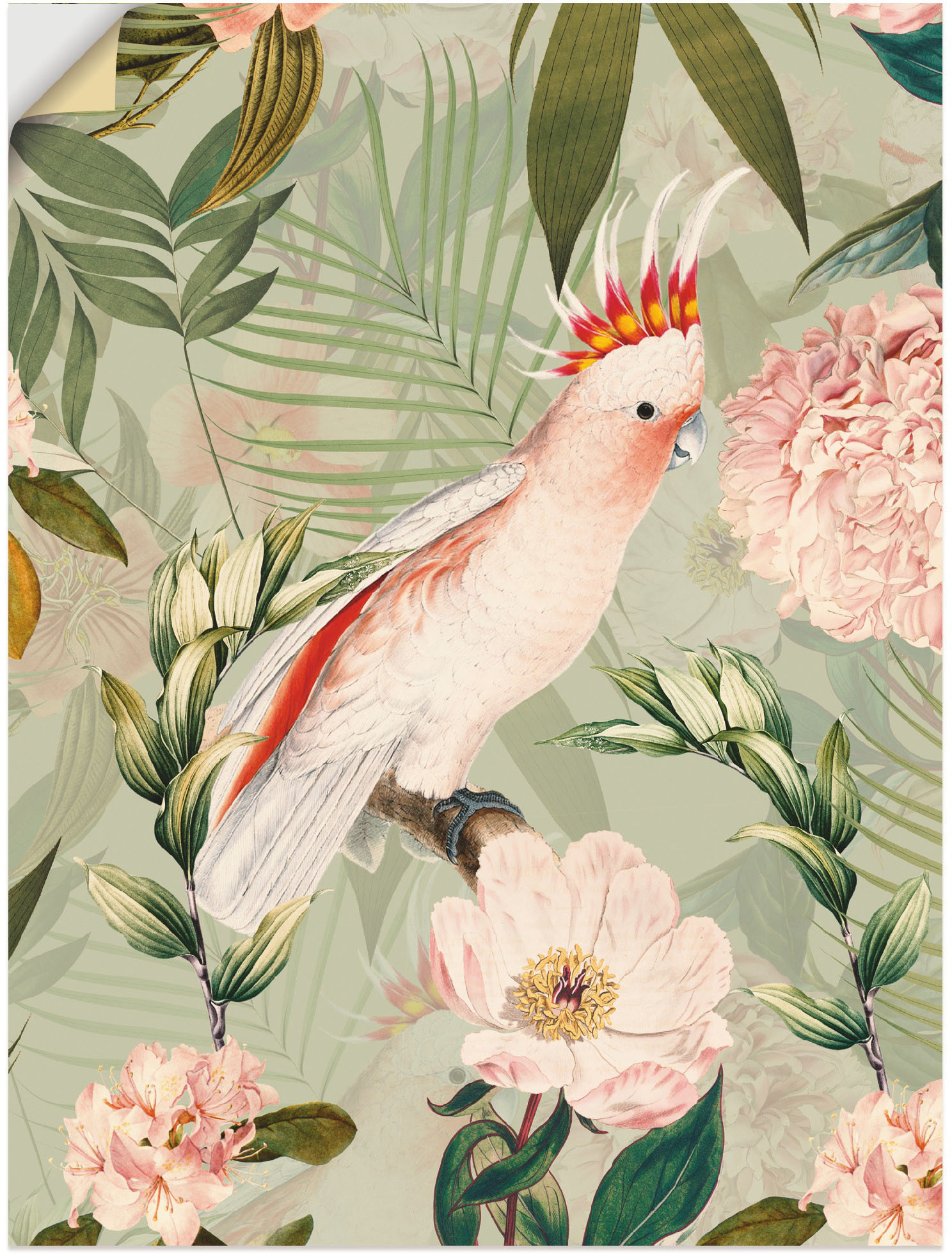 Artland Wandbild »Vintage Papagei«, Vogelbilder, (1 St.), als Alubild, Outdoorbild, Leinwandbild, Poster in verschied. Grössen von Artland