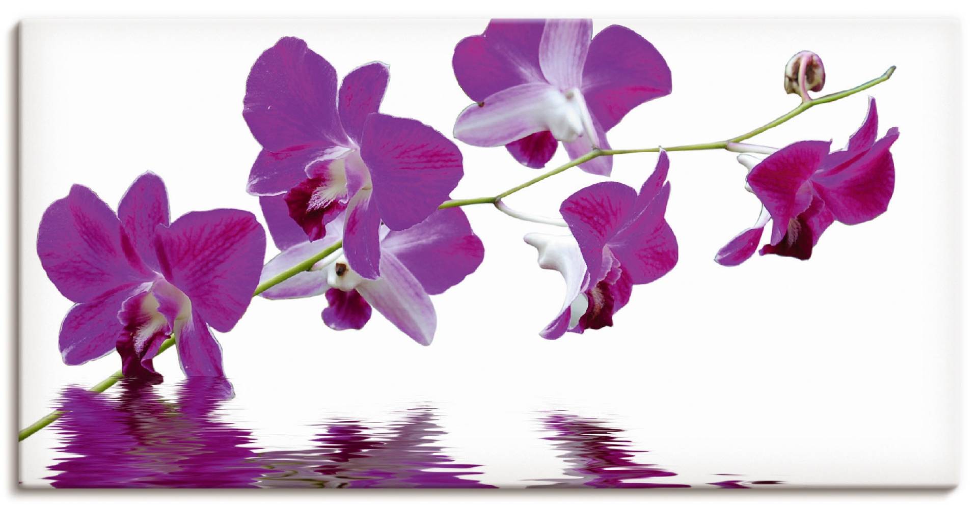 Artland Leinwandbild »Violette Orchideen«, Blumen, (1 St.) von Artland
