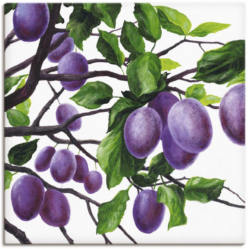 Artland Wandbild »Violette Pflaumen«, Bäume, (1 St.), als Alubild, Leinwandbild, Wandaufkleber oder Poster in versch. Grössen von Artland
