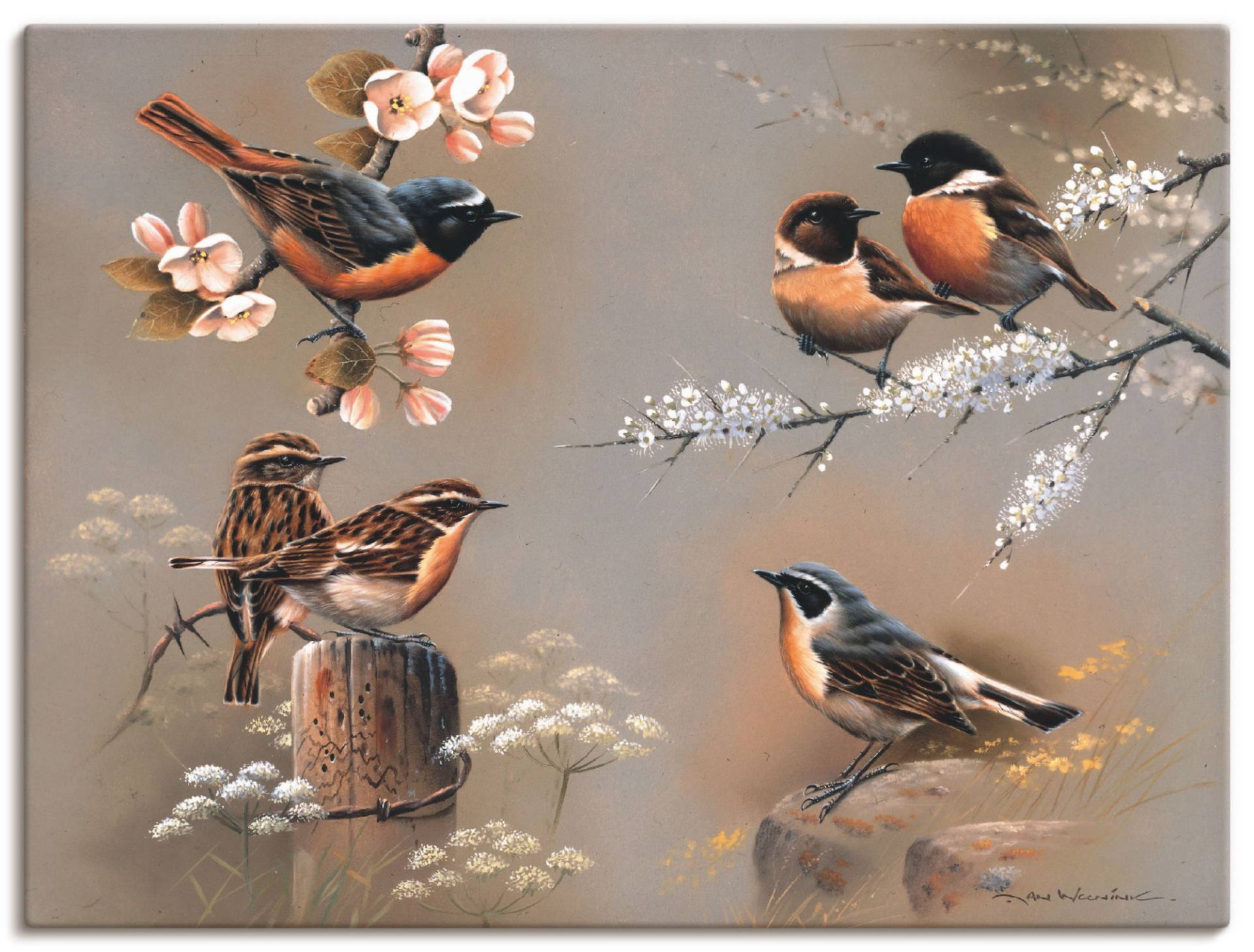 Artland Wandbild »Vogel Komposition«, Vögel, (1 St.), als Leinwandbild, Poster in verschied. Grössen von Artland