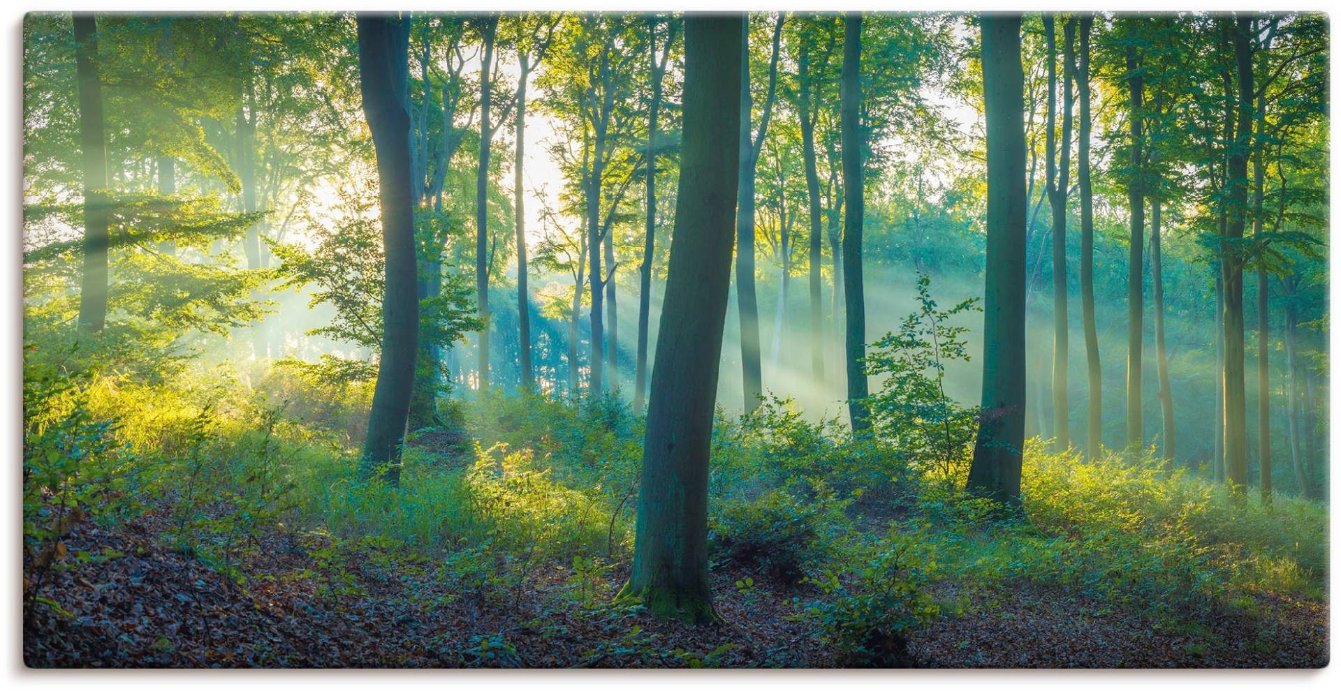 Artland Wandbild »Wald Panorama«, Waldbilder, (1 St.) von Artland