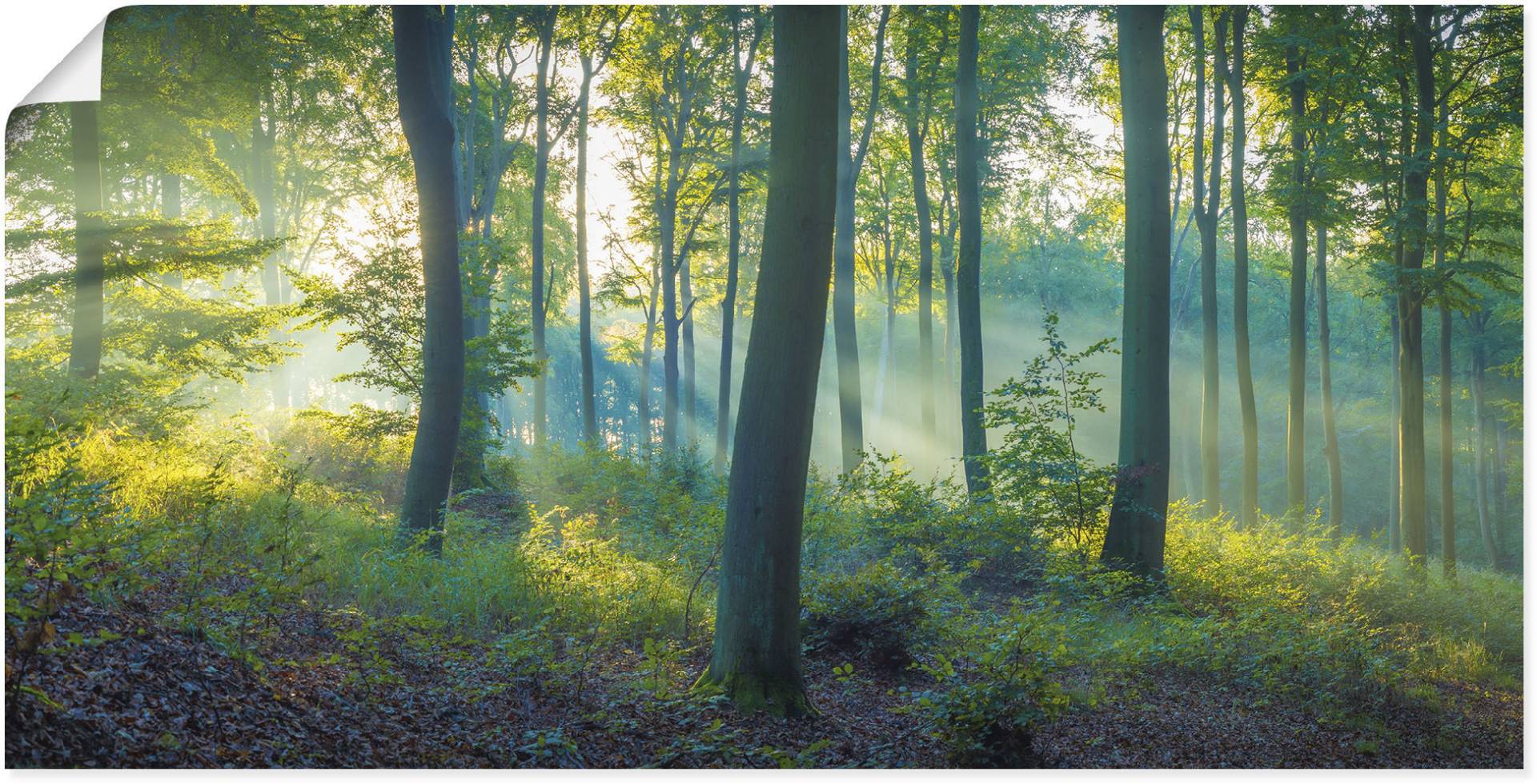 Artland Wandbild »Wald Panorama«, Waldbilder, (1 St.), als Alubild, Outdoorbild, Leinwandbild, Poster, Wandaufkleber von Artland