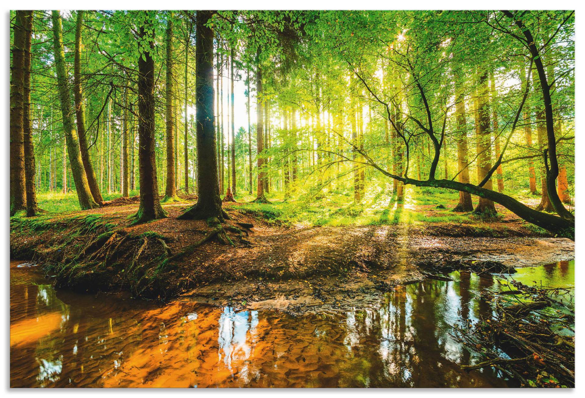 Artland Wandbild »Wald mit Bach«, Wald, (1 St.) von Artland