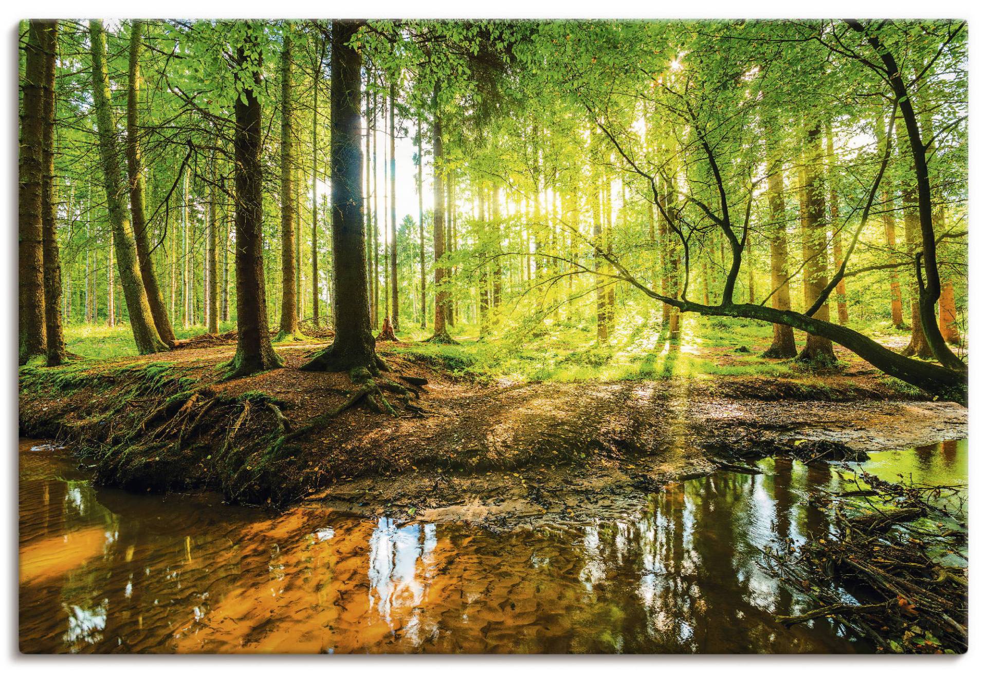 Artland Wandbild »Wald mit Bach«, Wald, (1 St.) von Artland