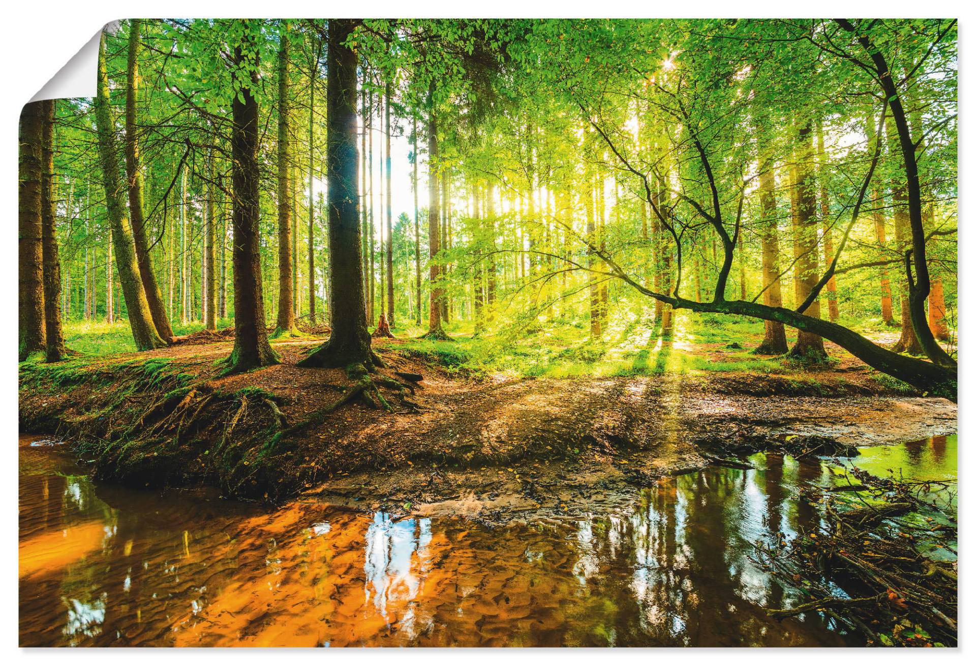 Artland Wandbild »Wald mit Bach«, Wald, (1 St.) von Artland