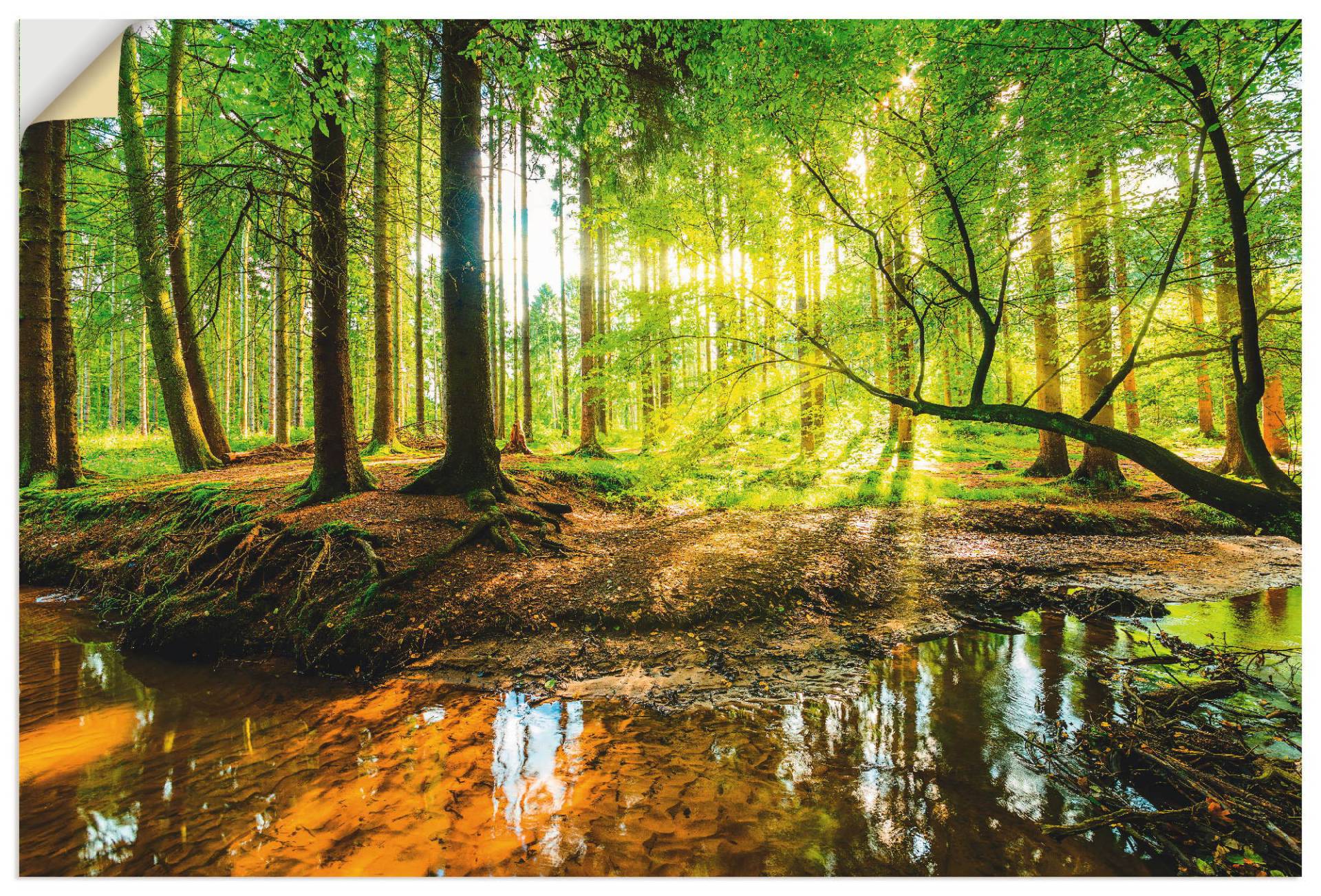 Artland Wandbild »Wald mit Bach«, Wald, (1 St.) von Artland
