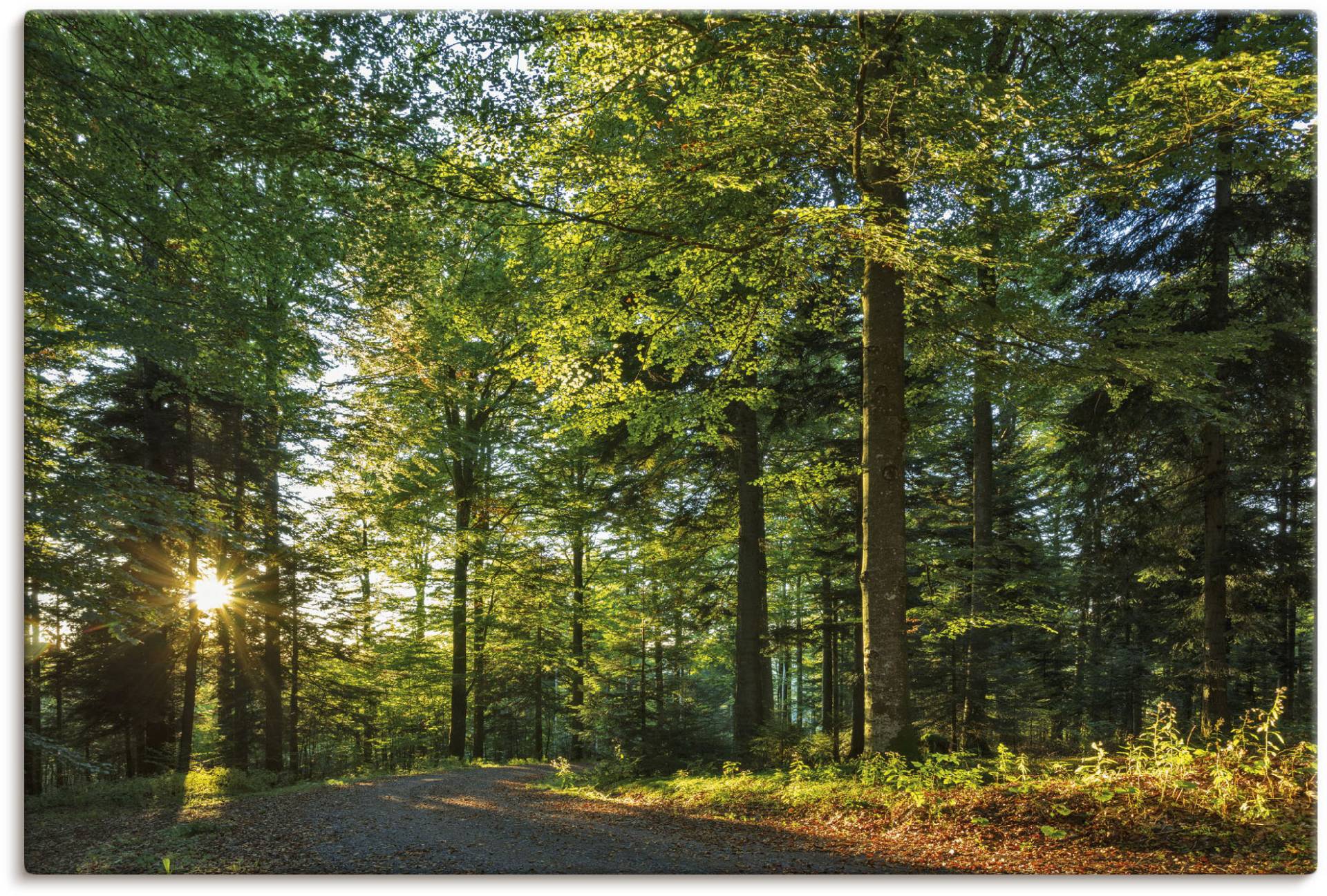 Artland Wandbild »Waldweg im Romantischen Schwarzwald«, Waldbilder, (1 St.), als Alubild, Outdoorbild, Leinwandbild, Wandaufkleber, versch. Grössen von Artland