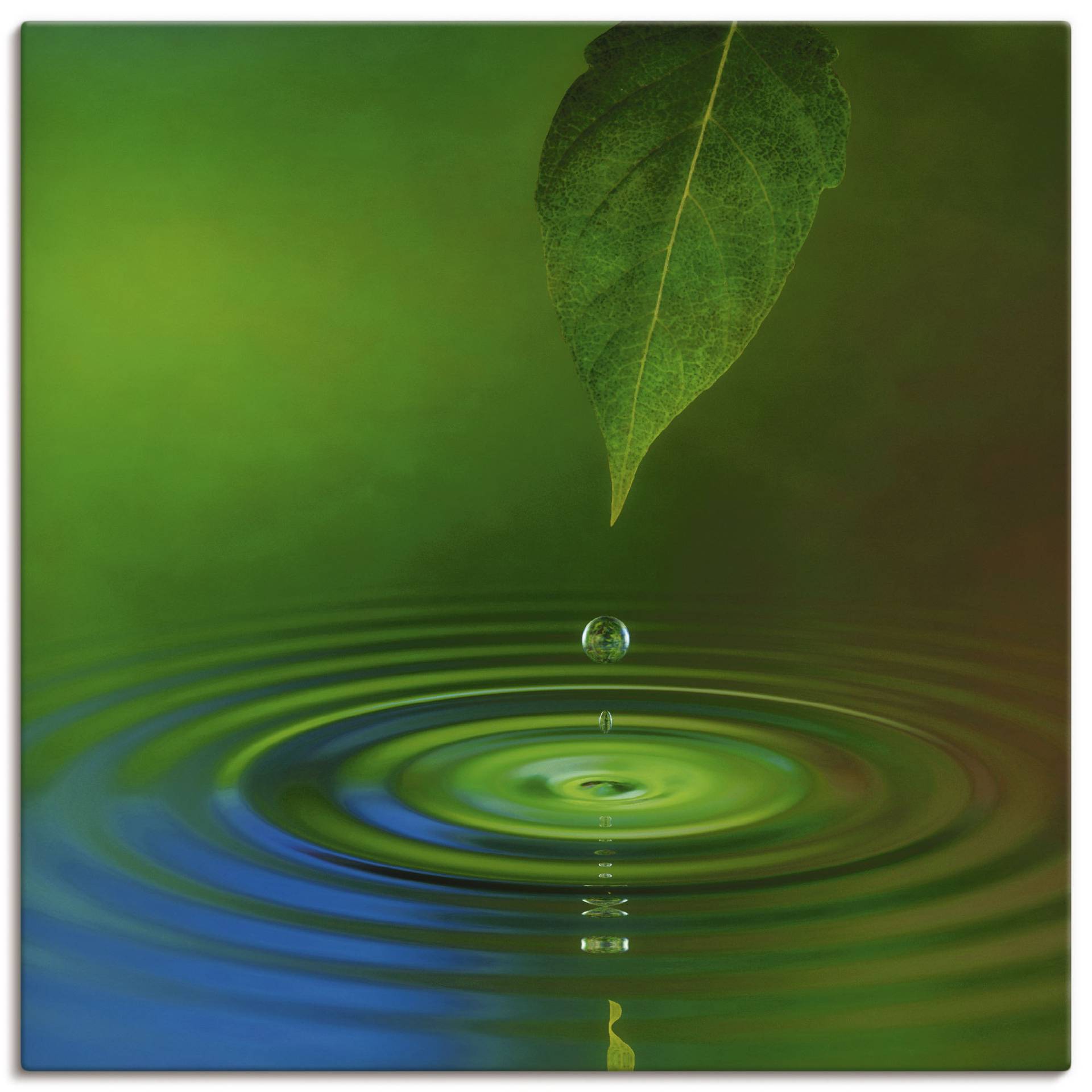 Artland Wandbild »Wassertropfen«, Zen, (1 St.), als Alubild, Outdoorbild, Leinwandbild in verschied. Grössen von Artland