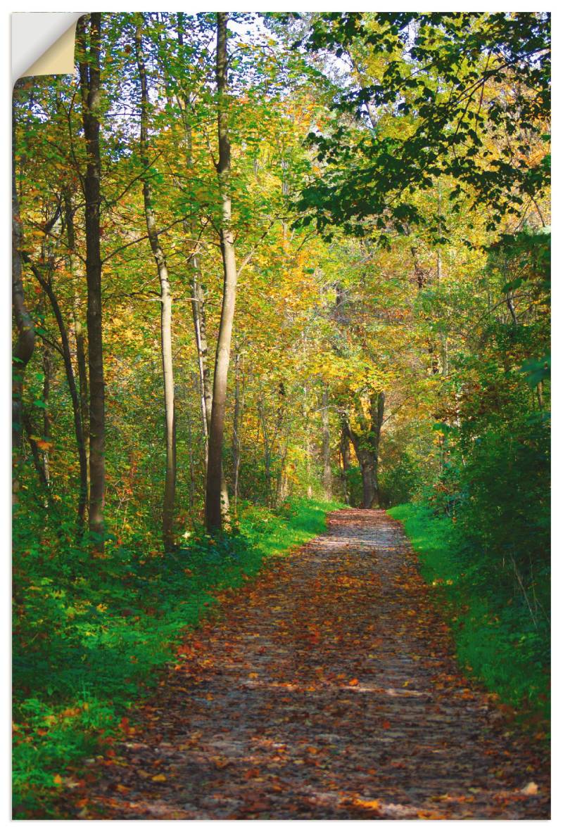 Artland Wandbild »Weg im Herbst Wald«, Wald, (1 St.) von Artland