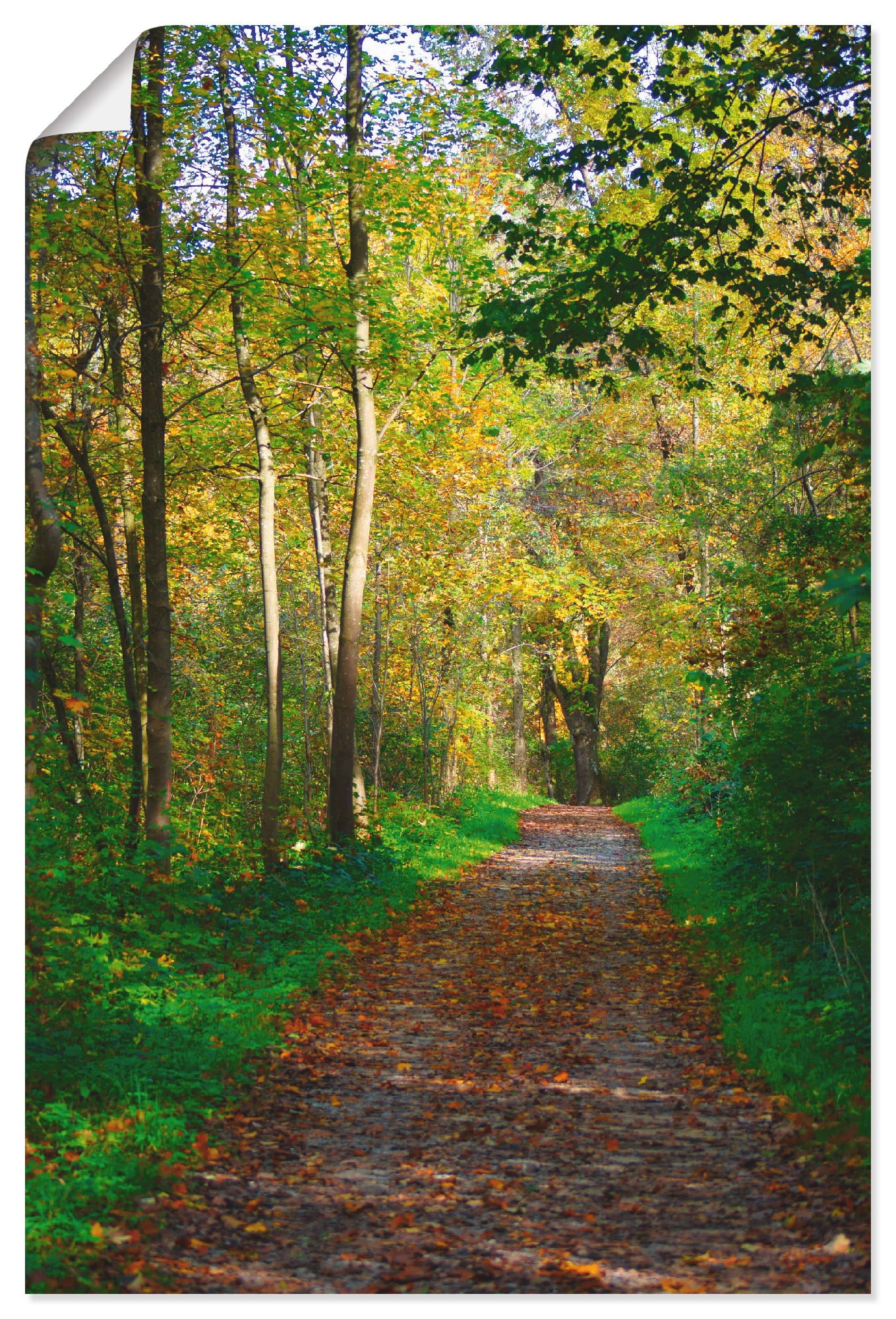Artland Wandbild »Weg im Herbst Wald«, Wald, (1 St.), als Poster, Wandaufkleber in verschied. Grössen von Artland
