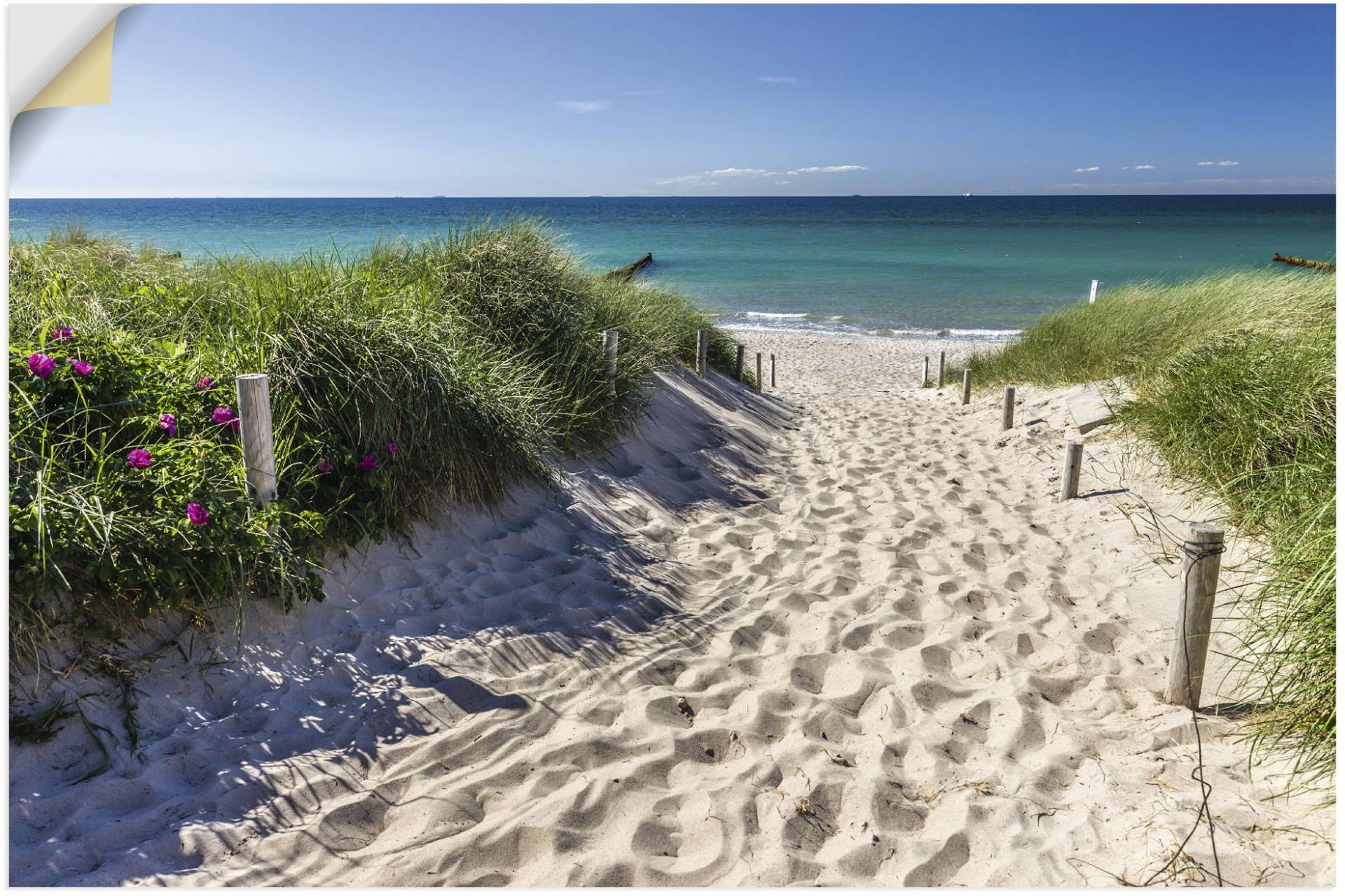 Artland Wandbild »Weg zum Strand an der Ostsee«, Strandbilder, (1 St.) von Artland