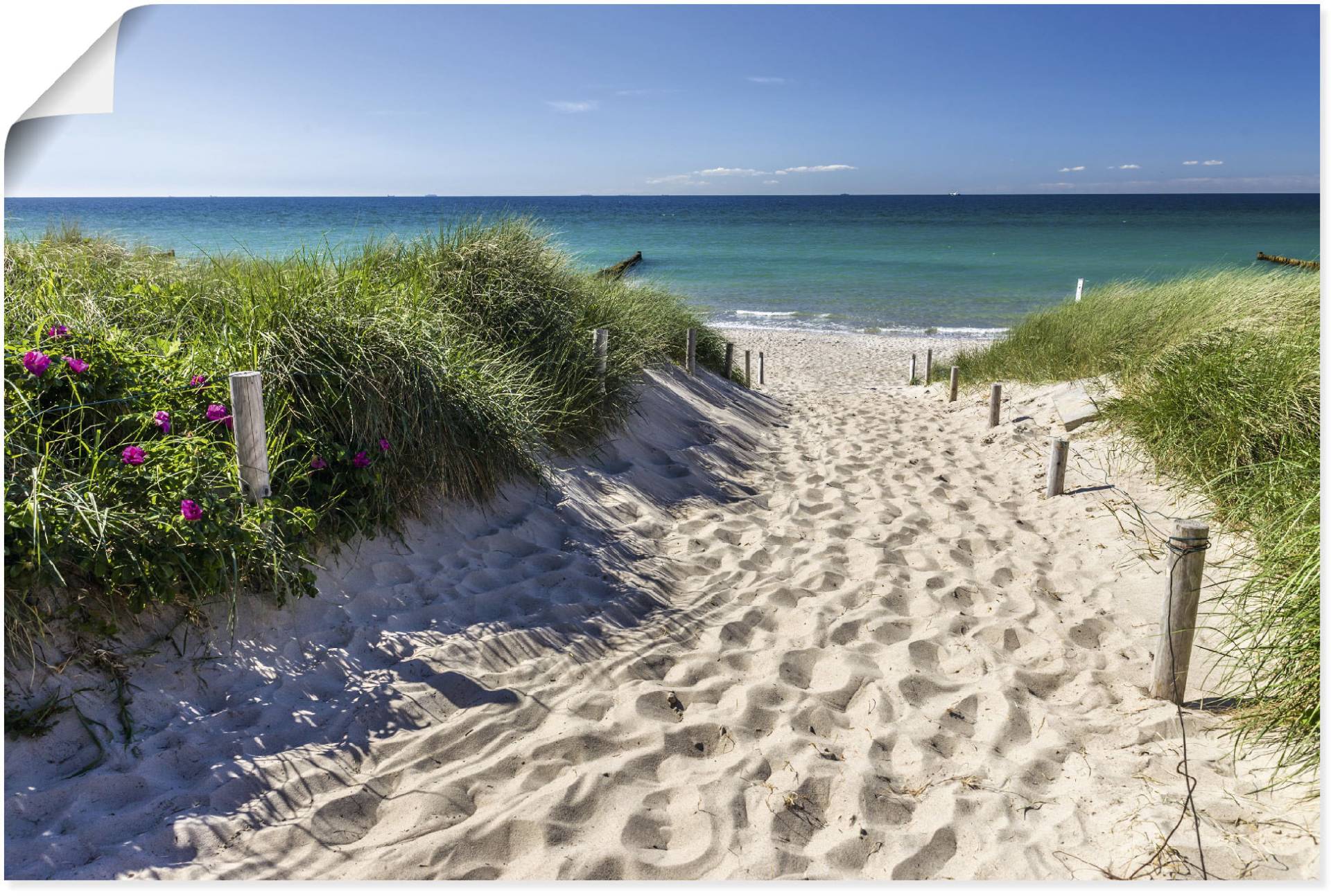 Artland Wandbild »Weg zum Strand an der Ostsee«, Strandbilder, (1 St.) von Artland