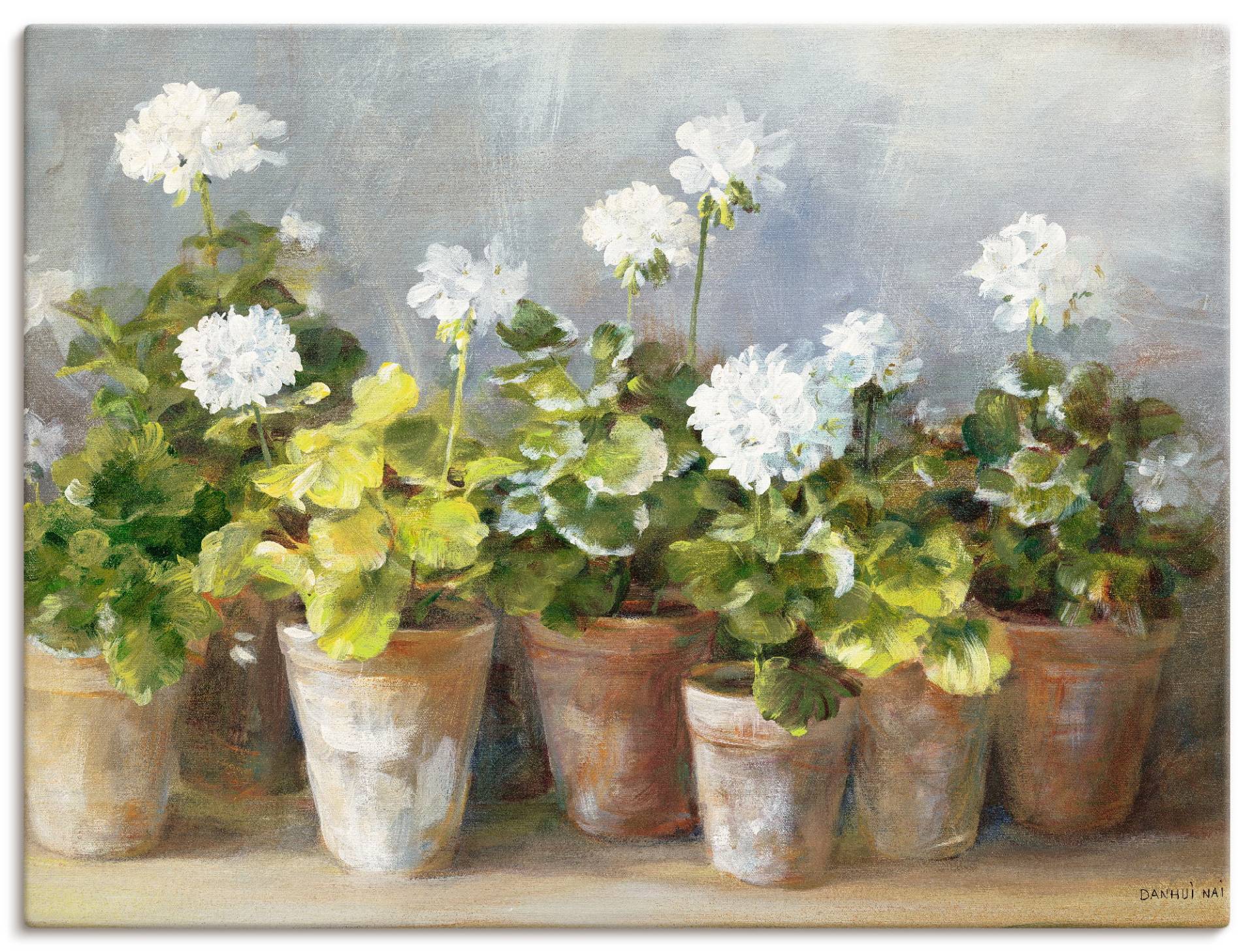 Artland Wandbild »Weisse Geranien«, Blumen, (1 St.) von Artland