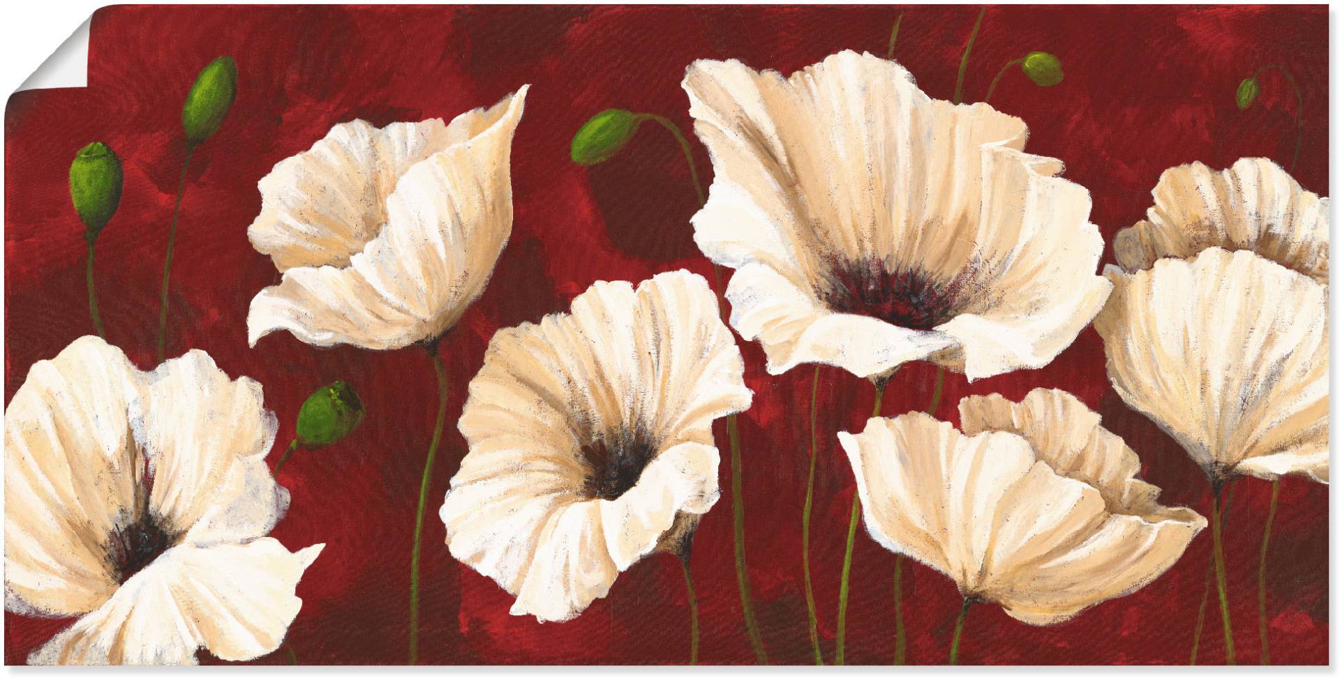 Artland Wandbild »Weisse Mohnblumen vor rot«, Blumen, (1 St.), als Alubild, Outdoorbild, Leinwandbild, Poster, Wandaufkleber Artland Wandbild »Weisse Mohnblumen vor rot«, Blumen, (1 St.), als Alubild, Outdoorbild, Leinwandbild, Poster, Wandaufkleber von Artland