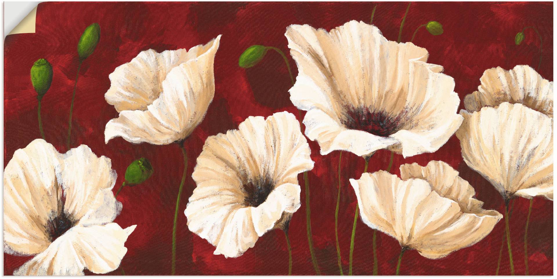 Artland Wandbild »Weisse Mohnblumen vor rot«, Blumen, (1 St.) von Artland