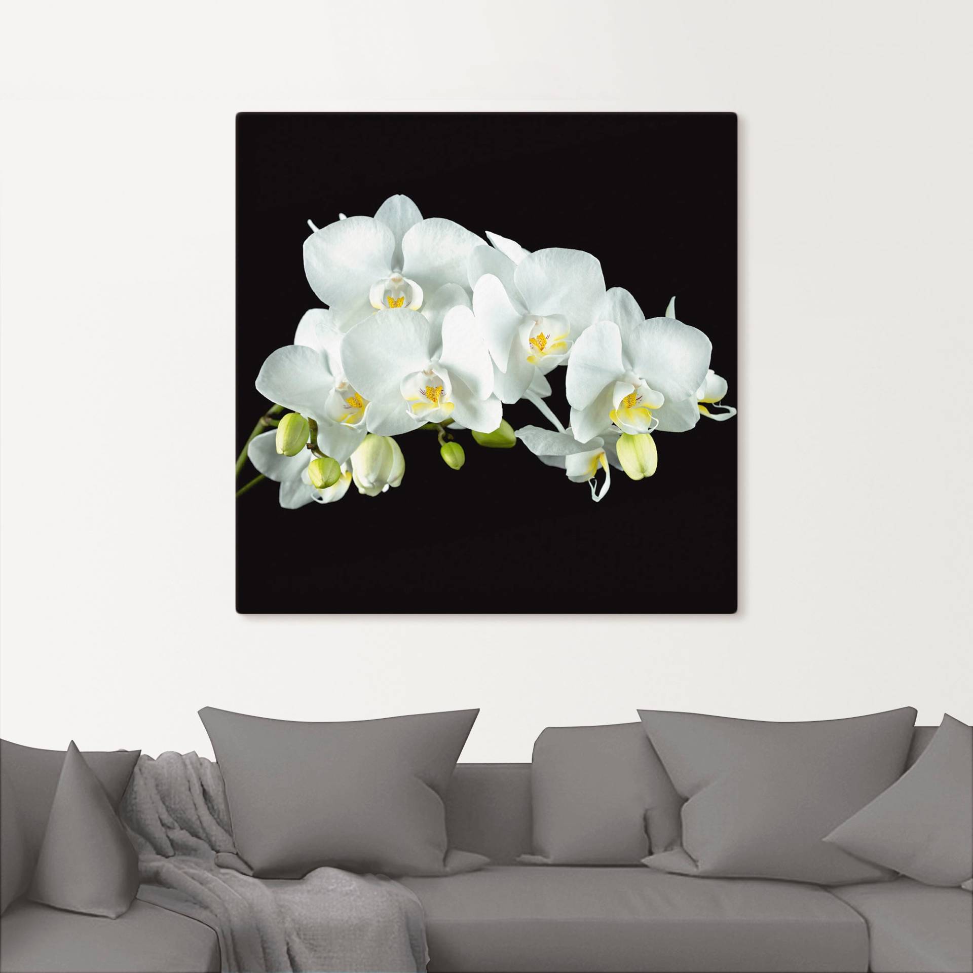Artland Wandbild »Weisse Orchidee auf schwarzem Hintergrund«, Blumen, (1 St.) von Artland