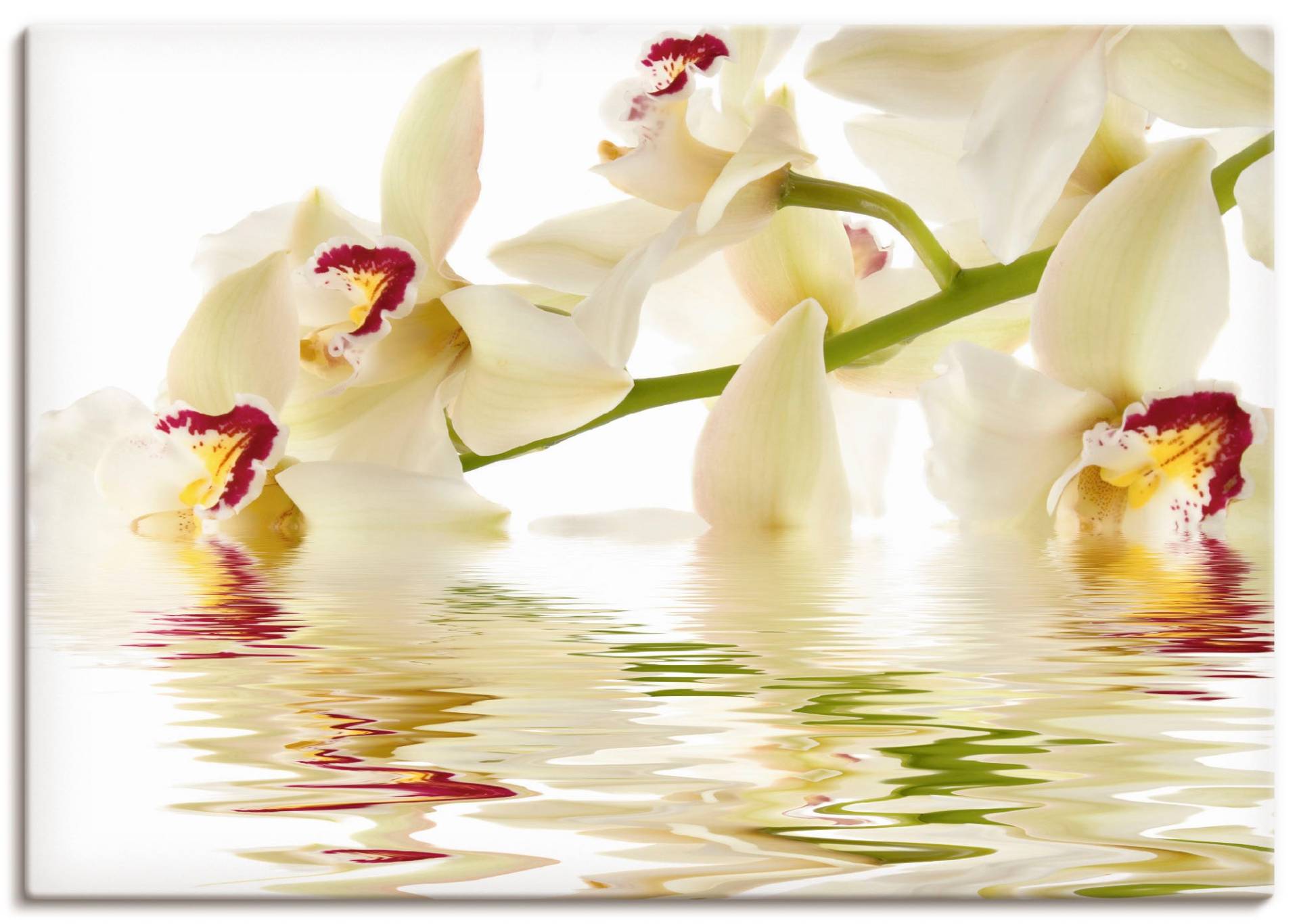Artland Wandbild »Weisse Orchidee mit Wasserreflektion«, Blumen, (1 St.) von Artland
