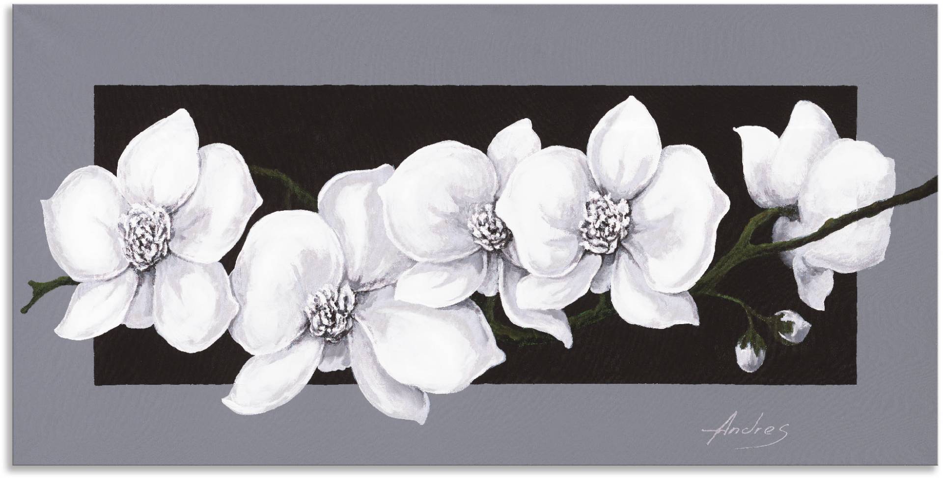 Artland Wandbild »Weisse Orchideen auf grau«, Blumen, (1 St.) von Artland