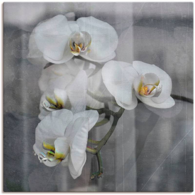 Artland Wandbild »Weisse Orchideen - white Orchid«, Blumen, (1 St.), als Leinwandbild, Wandaufkleber in verschied. Grössen von Artland