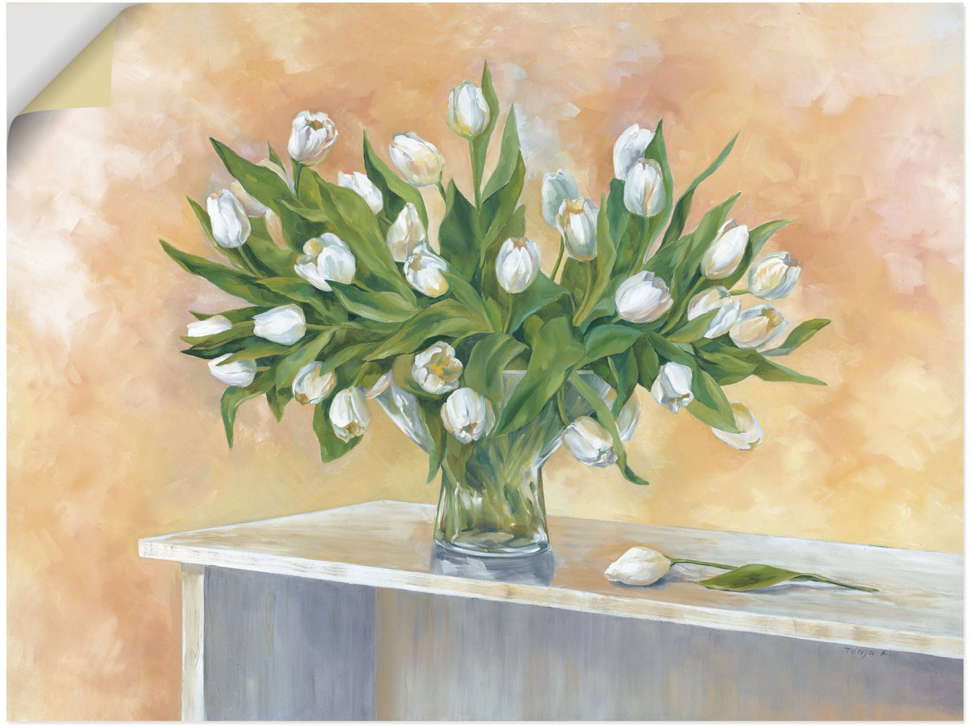 Artland Wandbild »Weisse Tulpen«, Blumen, (1 St.), als Leinwandbild, Wandaufkleber in verschied. Grössen von Artland
