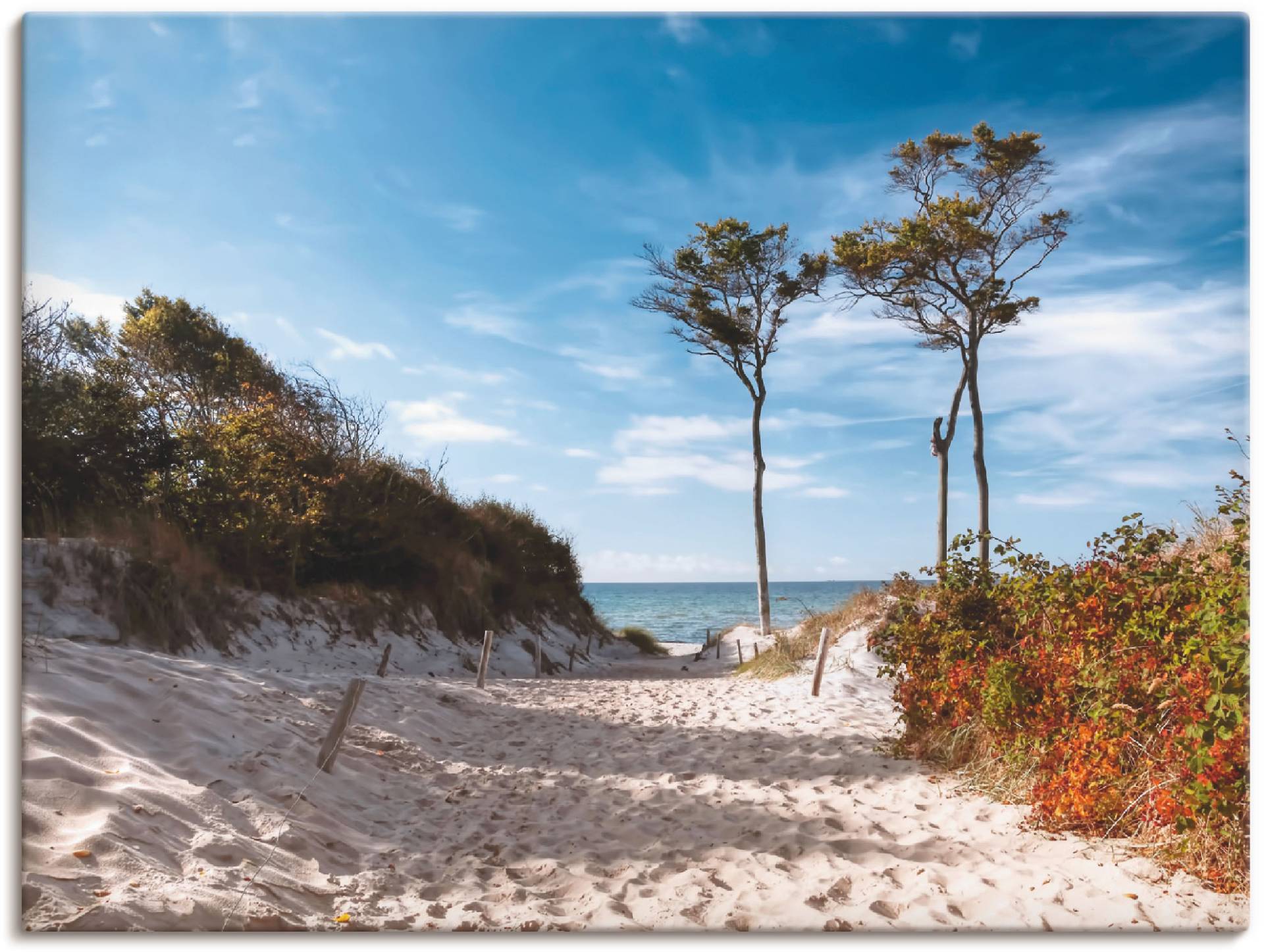 Artland Wandbild »Weststrand Darss«, Strand, (1 St.) von Artland